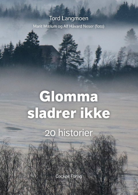 Glomma sladrer ikke - 20 historier