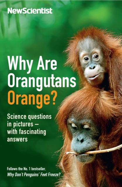 Why are orangutans orange?
