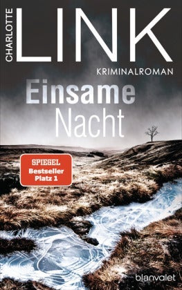 Einsame nacht