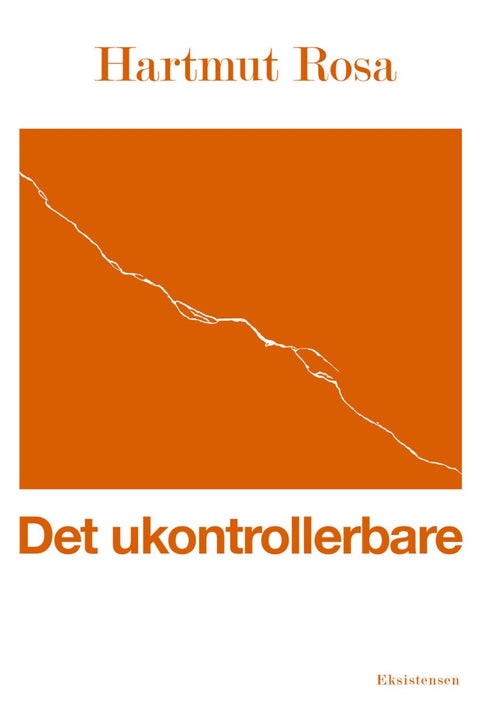 Det ukontrollerbare