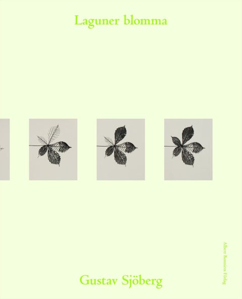 Laguner blomma