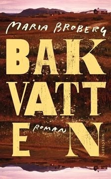 Bakvatten - Roman