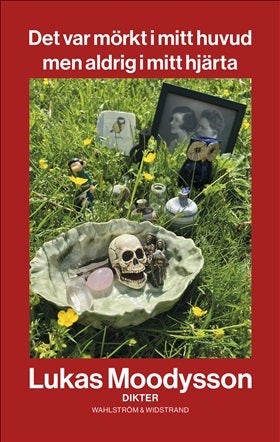 Det var mörkt i mitt huvud men aldrig i mitt hjärt