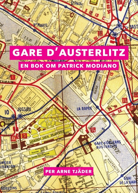 Gare D'Austerlitz: En bok om P.MODIANO