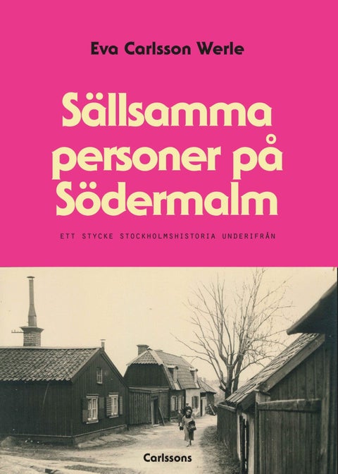 Sällsamma personer på Södermalm