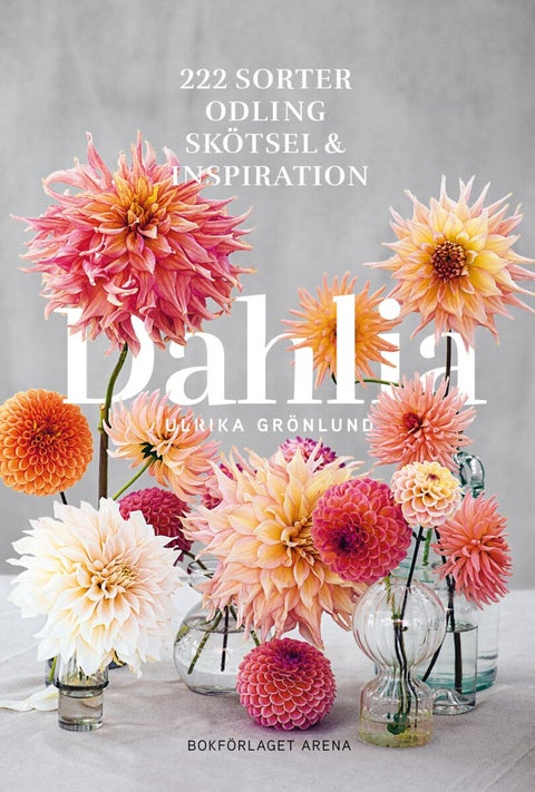 Dahlia - 222 sorter, odling, skötsel och inspiration