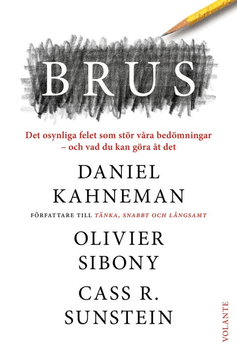 Brus - Det osynliga felet som stör våra bedömningar - och
