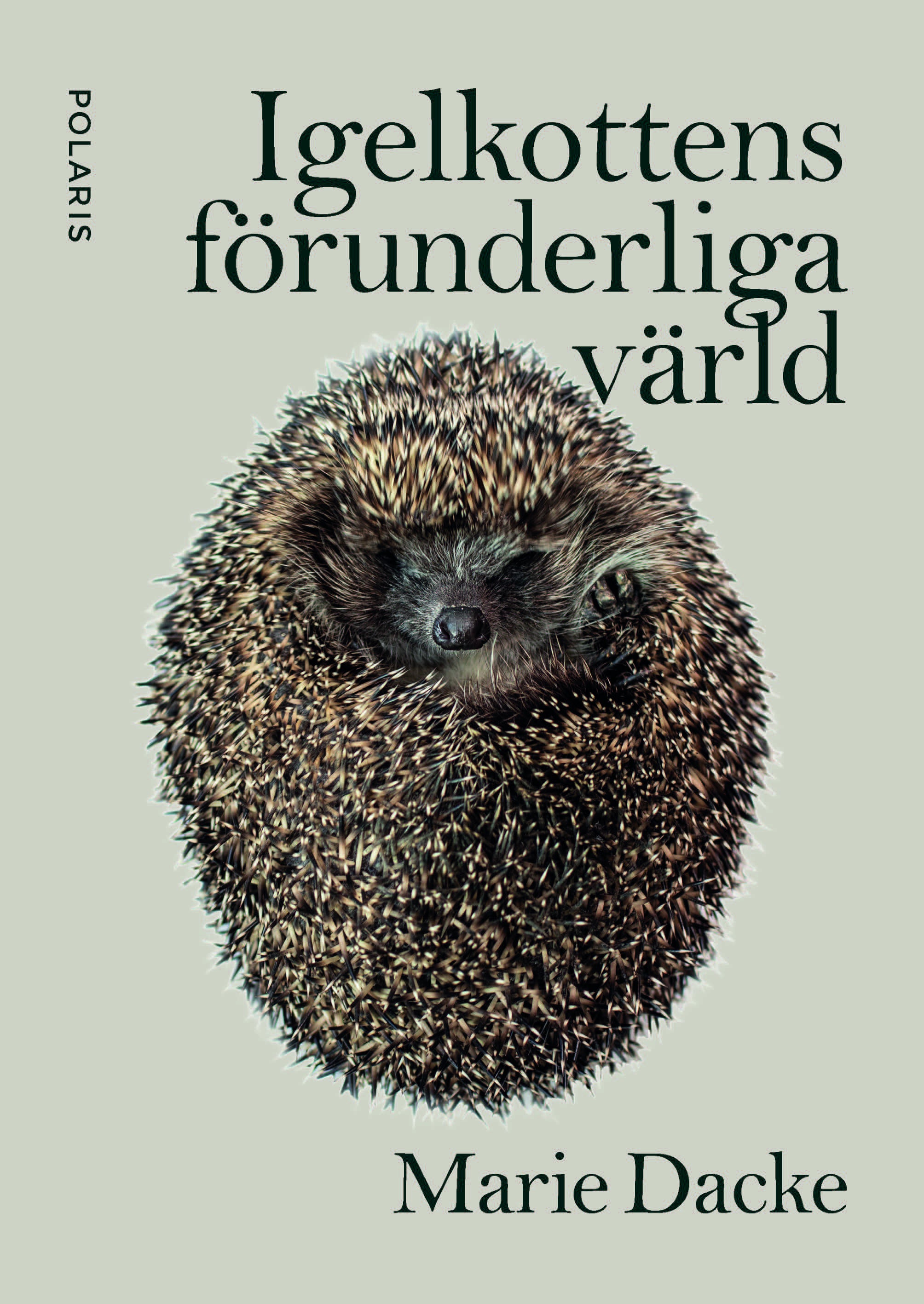 Igelkottens förunderliga värld