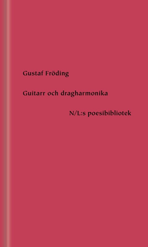 Guitarr och dragharmonika