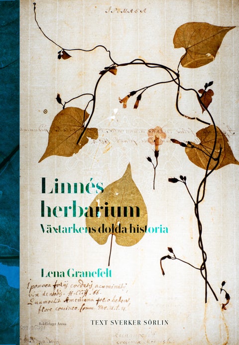 Linnés herbarium - växtarkens dolda historia