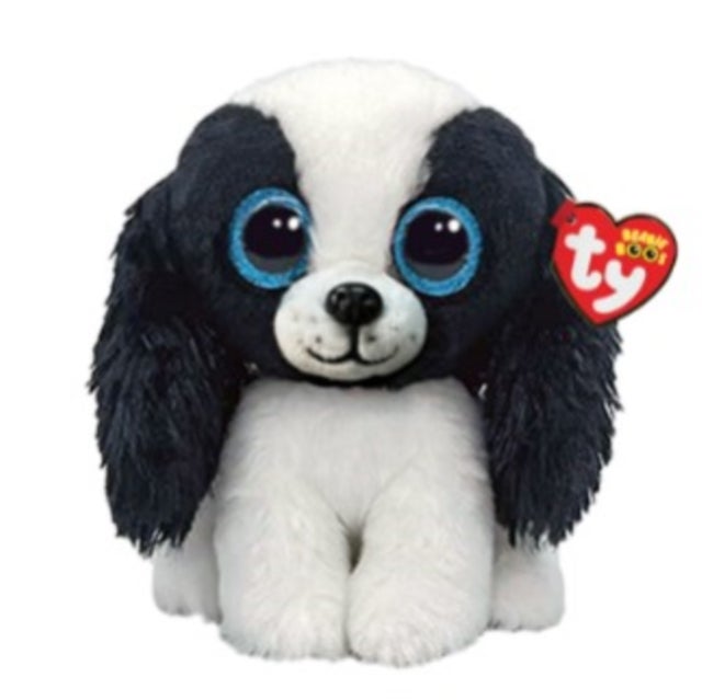 Bamse Sissy Black And White Dog Reg