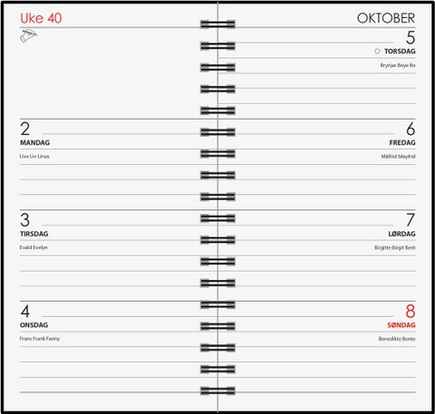 7.Sans kalender 24/25 Studium kartong spiralisert