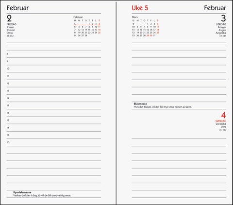 Kalender 2025 7.Sans Agenda Trend Imitert Skinn - Grå