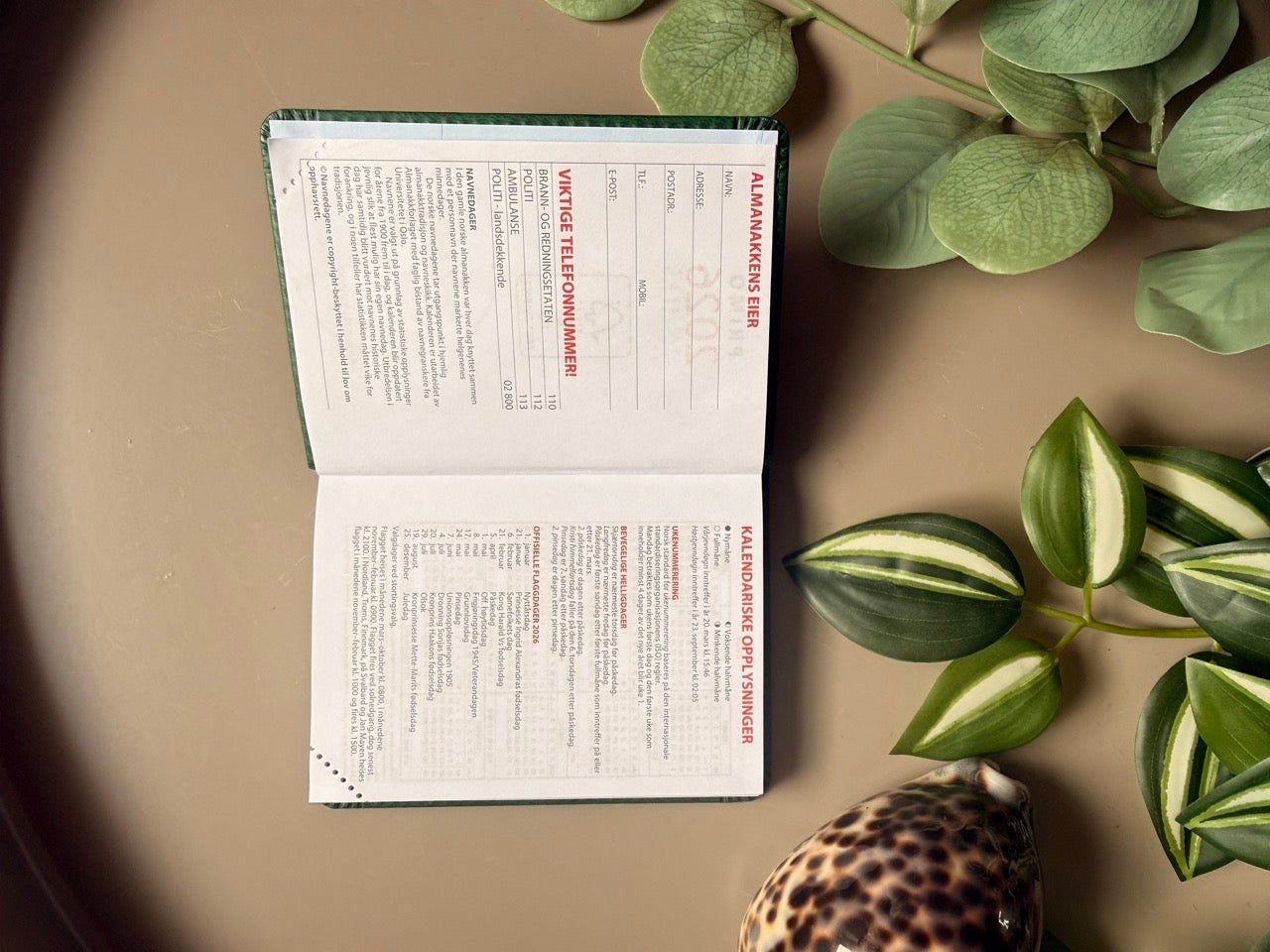 Kalender 2026 7.Sans Primo Trend Ib