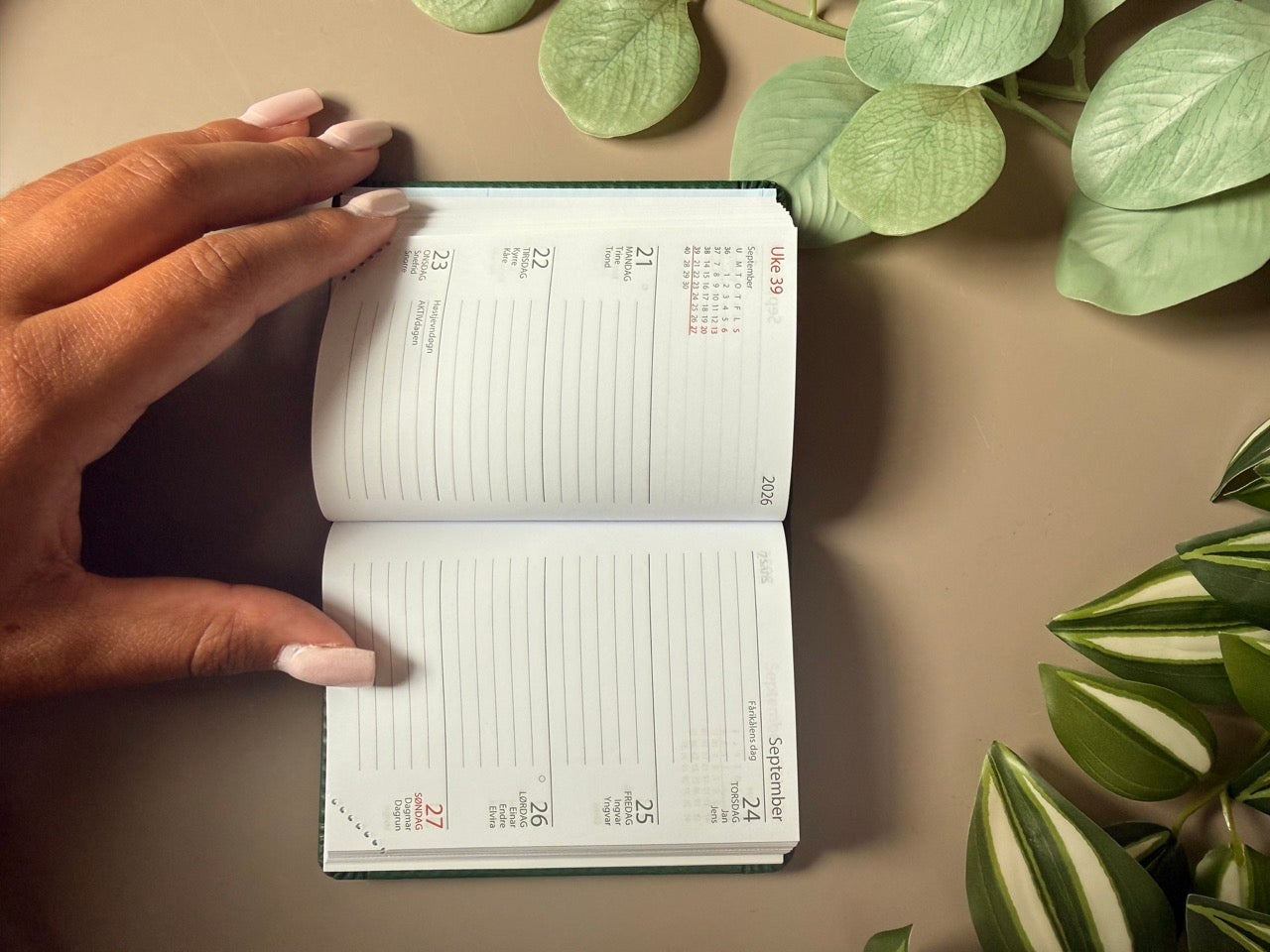 Kalender 2026 7.Sans Primo Trend Ib