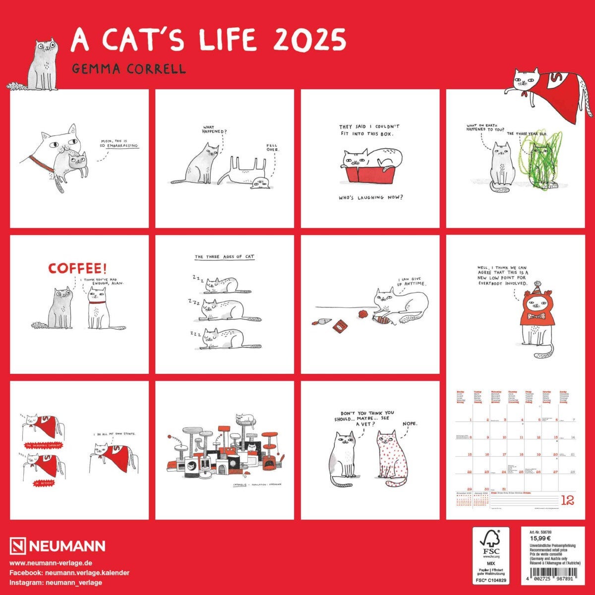 Kalender 2025 A Cats Life 30x30cm