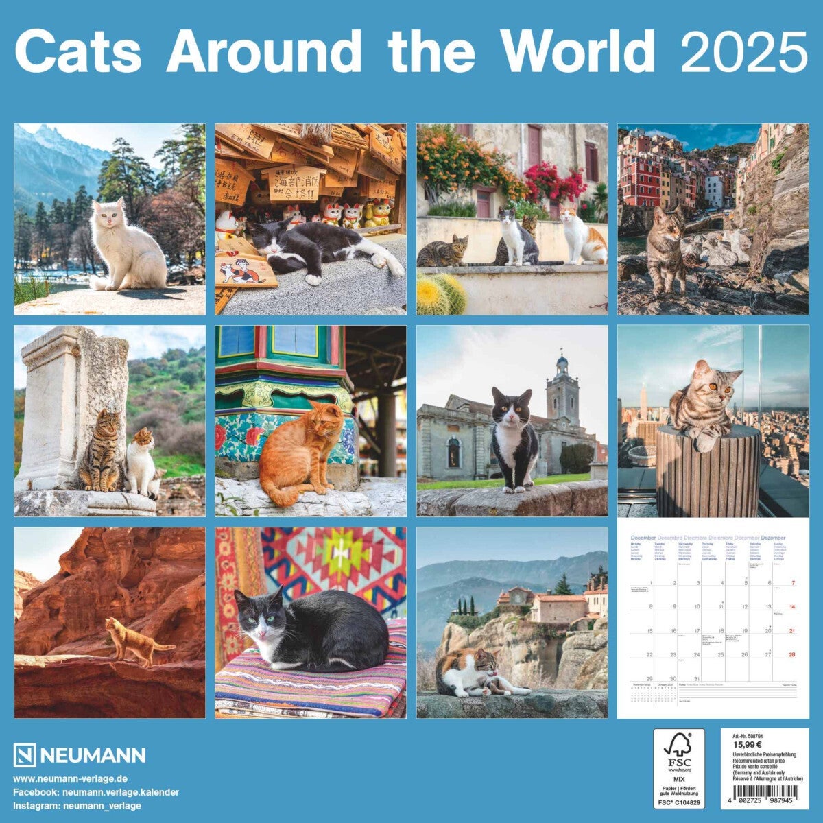 Kalender 2025 Cats in the World 30x30cm