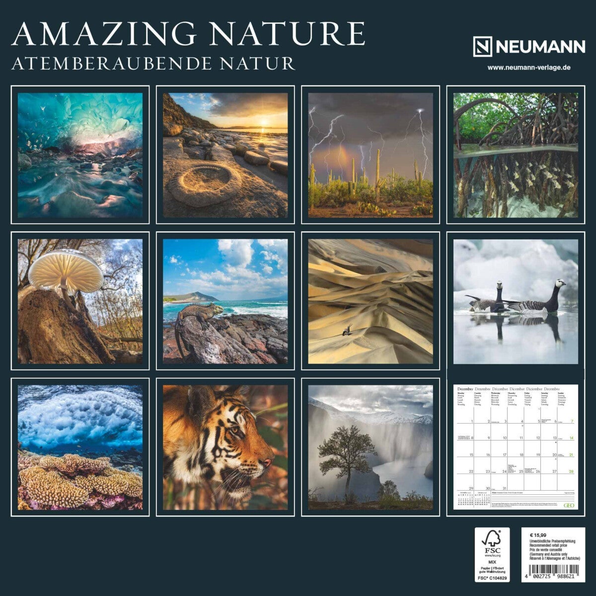 Kalender 2025 Amazing Nature 30x30cm