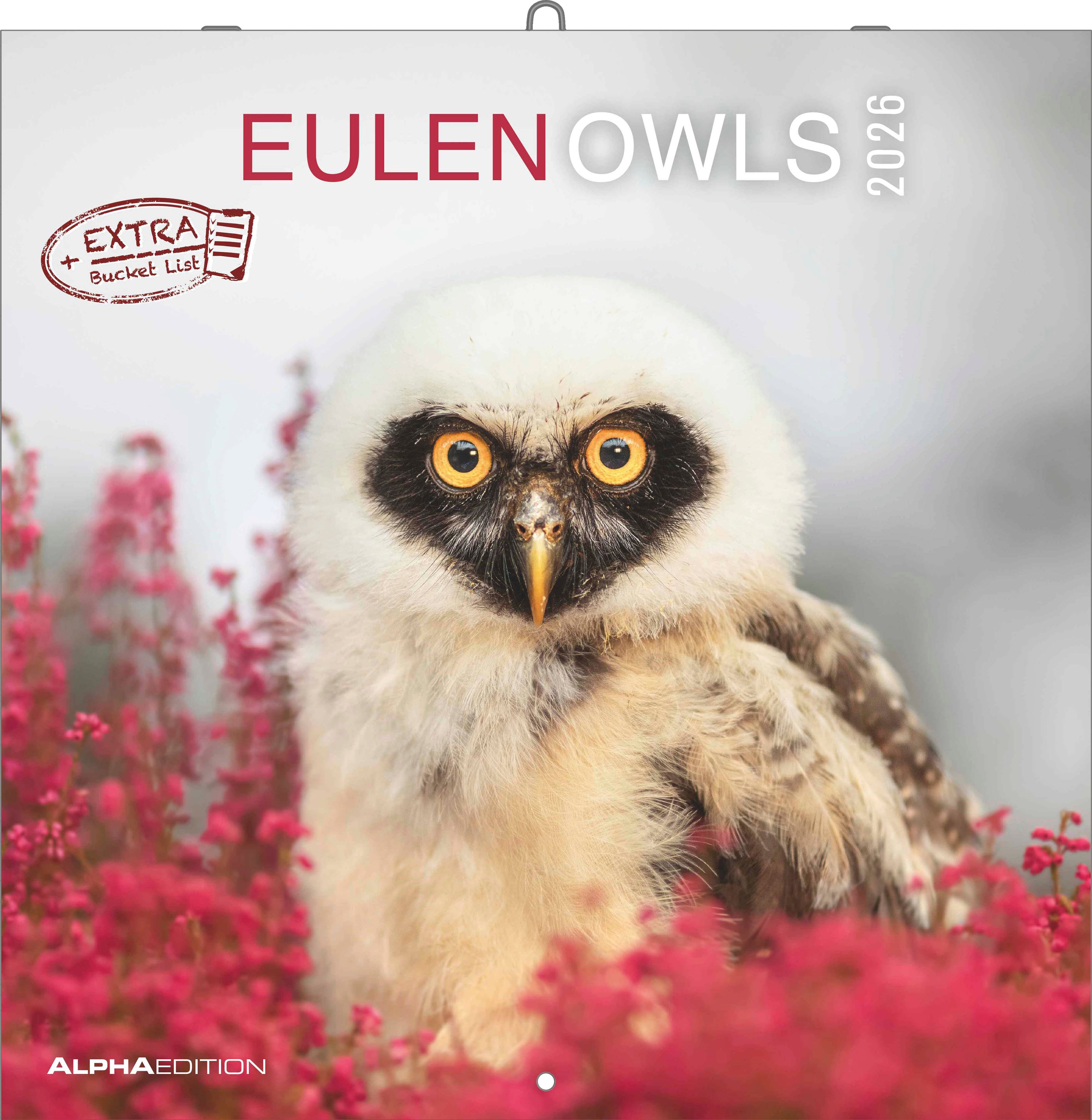 Kalender 2026 30x30 Owls