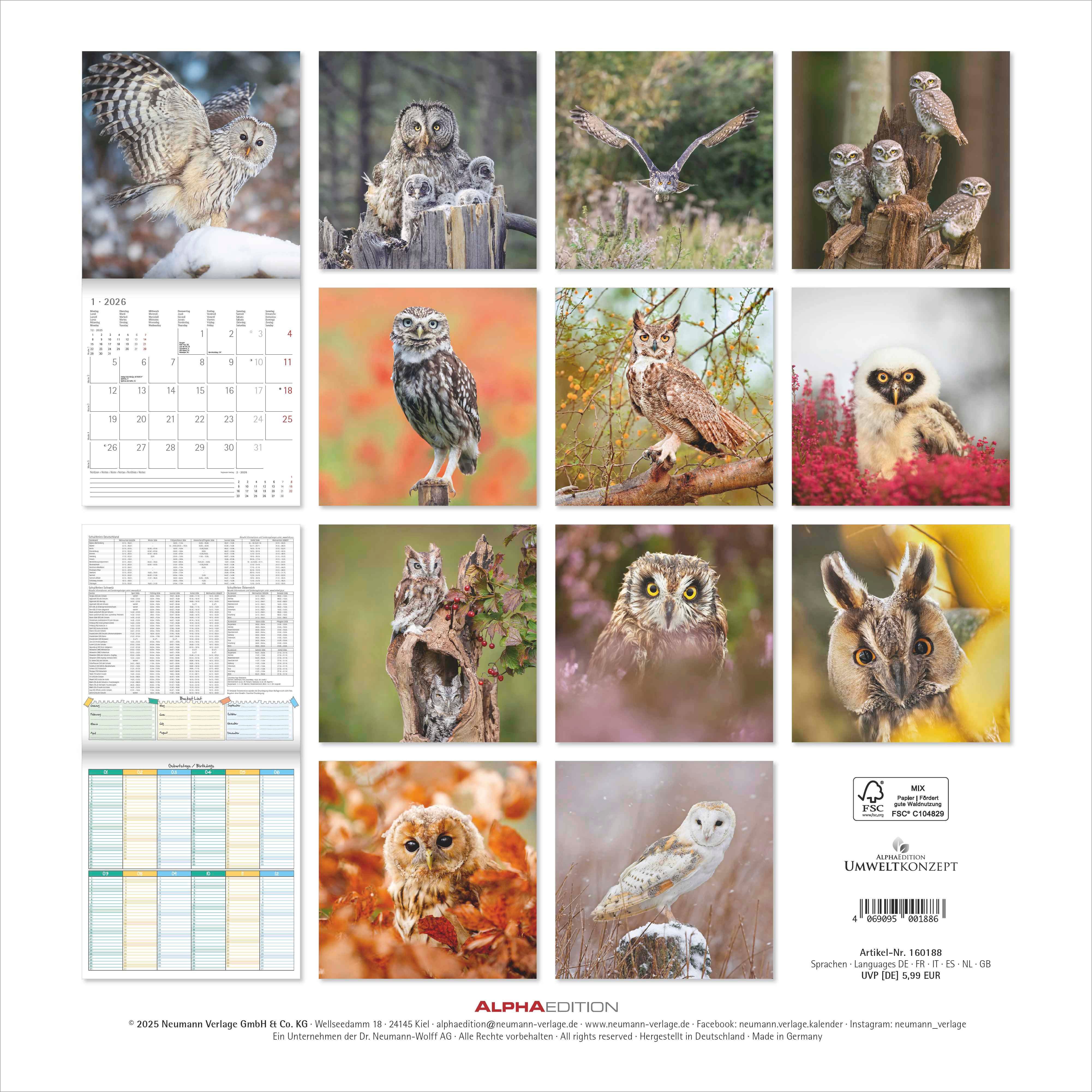 Kalender 2026 30x30 Owls