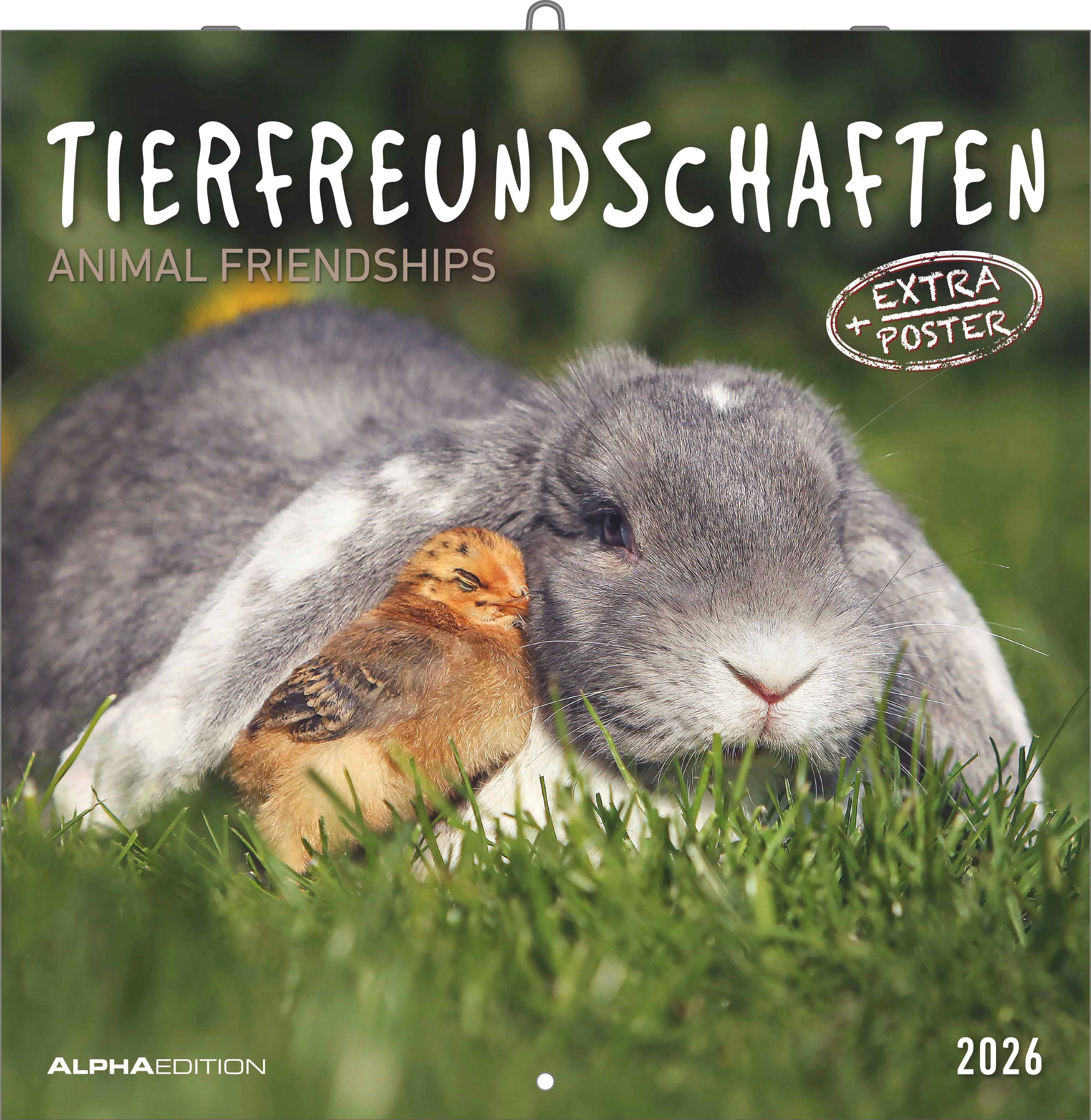 Kalender 2026 30x30 Animal Friendships