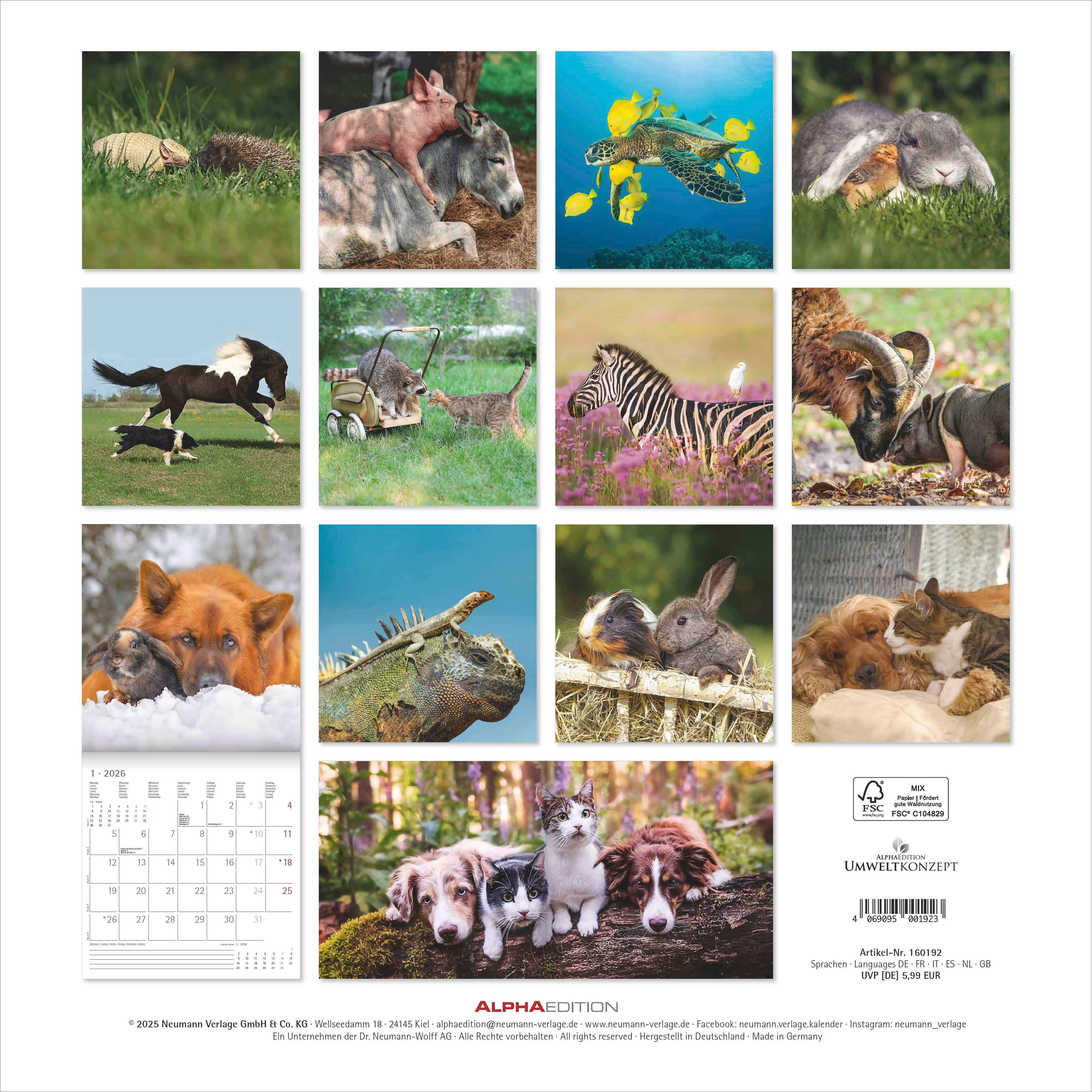 Kalender 2026 30x30 Animal Friendships