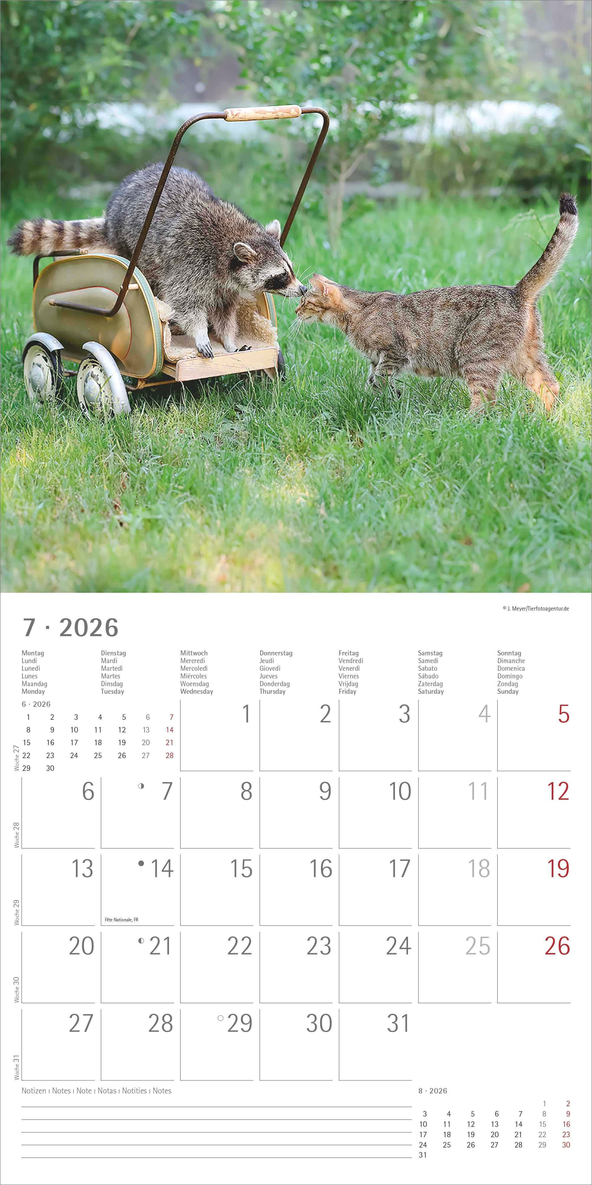 Kalender 2026 30x30 Animal Friendships