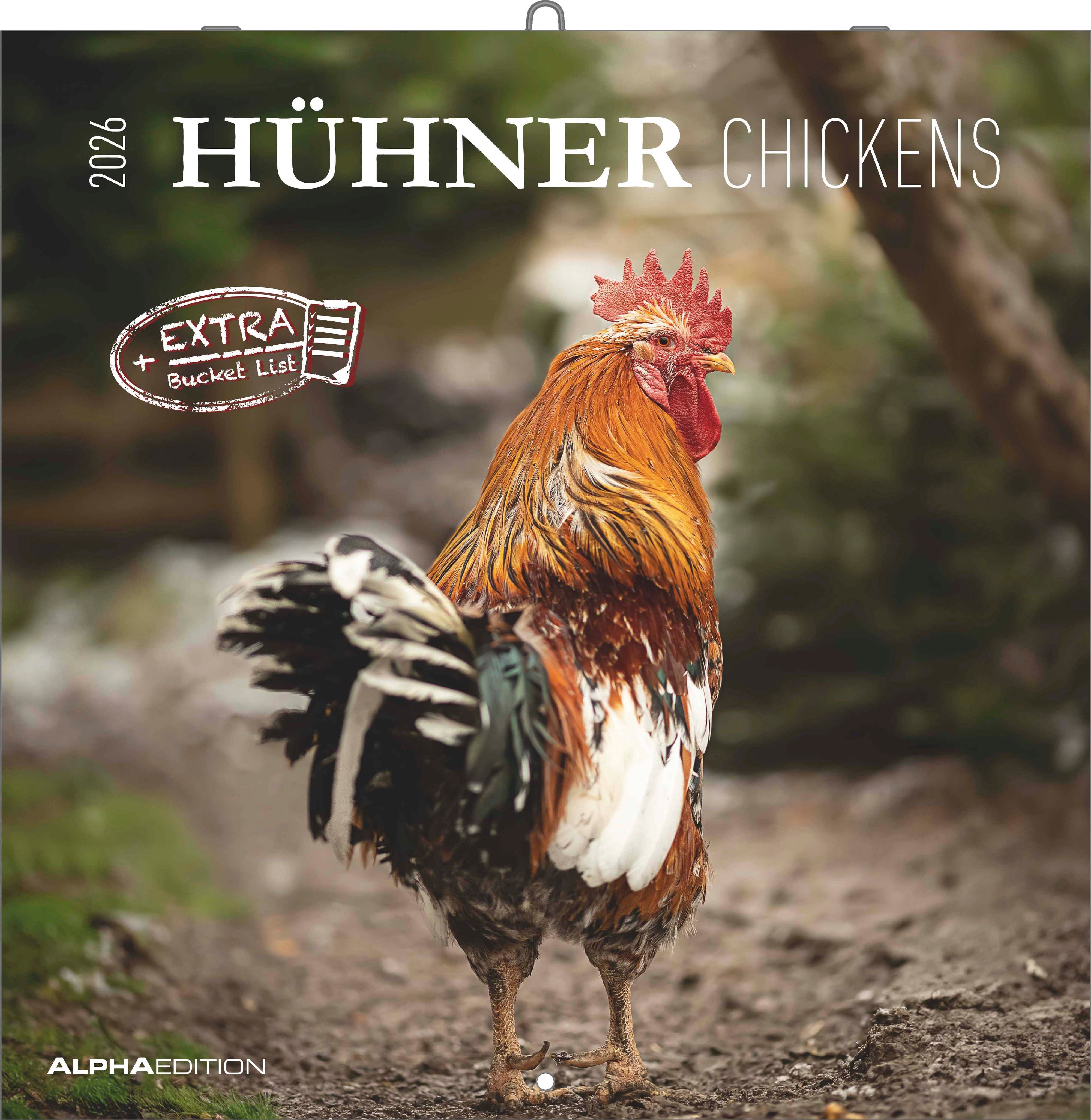 Kalender 2026 30x30 Chickens