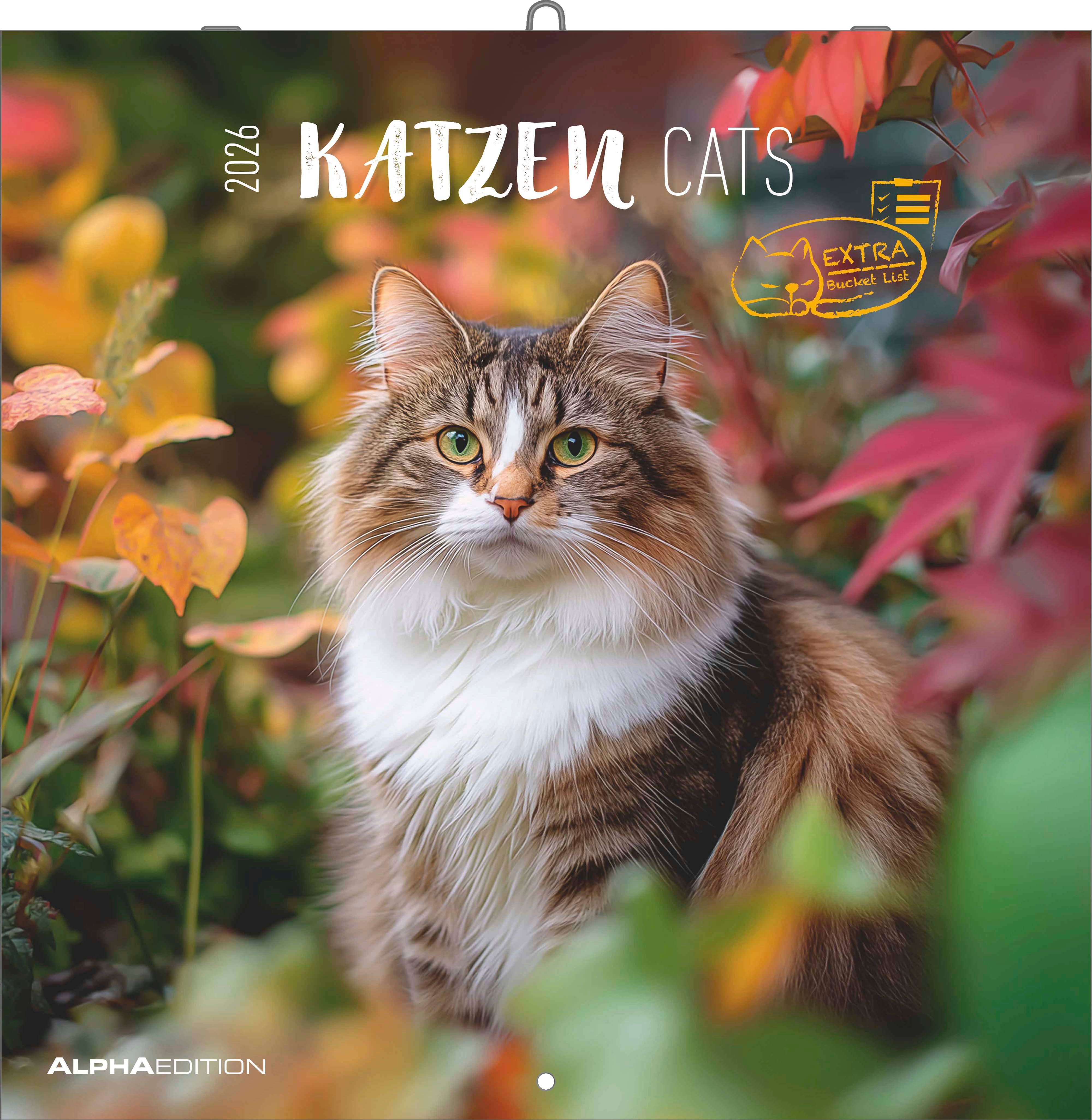 Kalender 2026 30x30 Cats