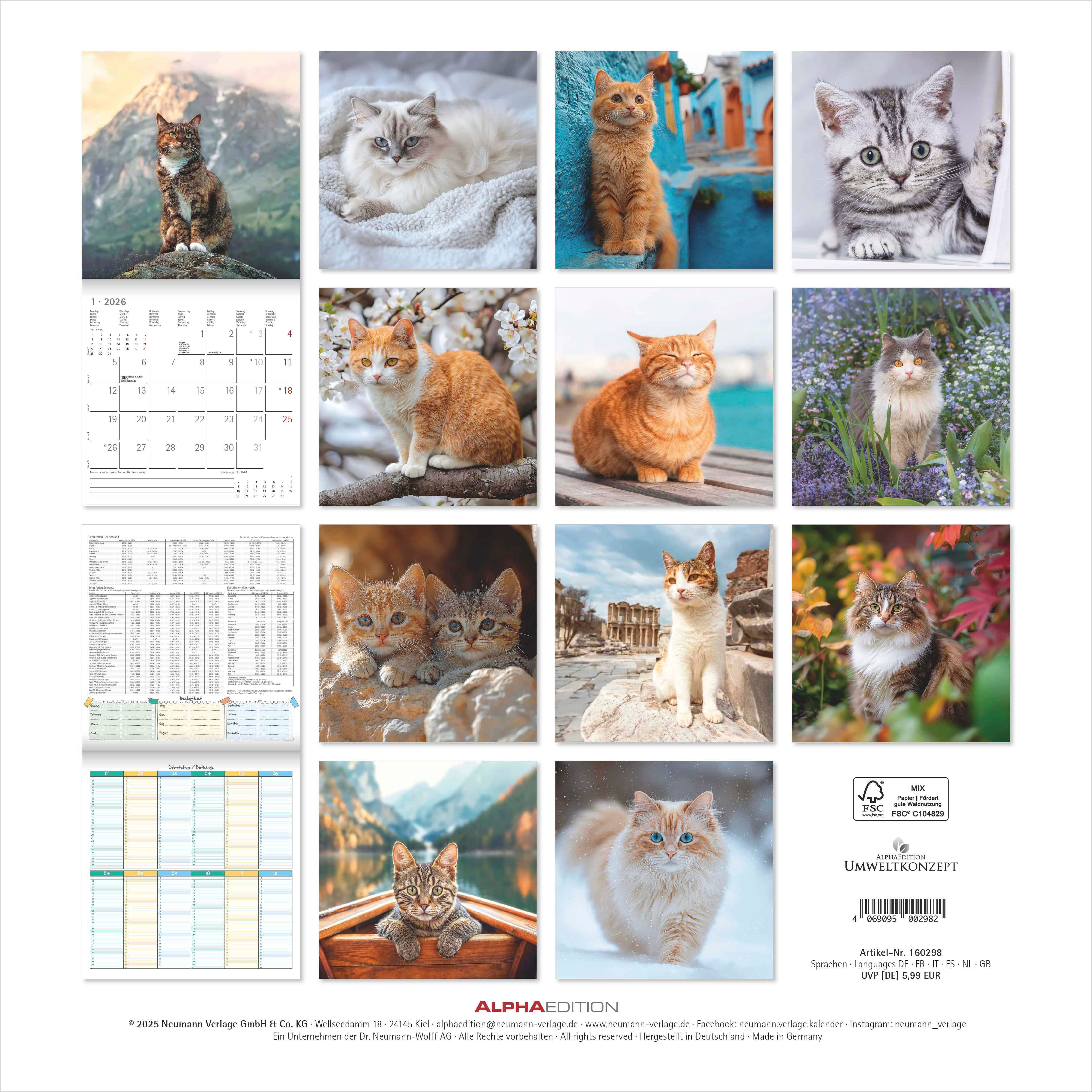 Kalender 2026 30x30 Cats
