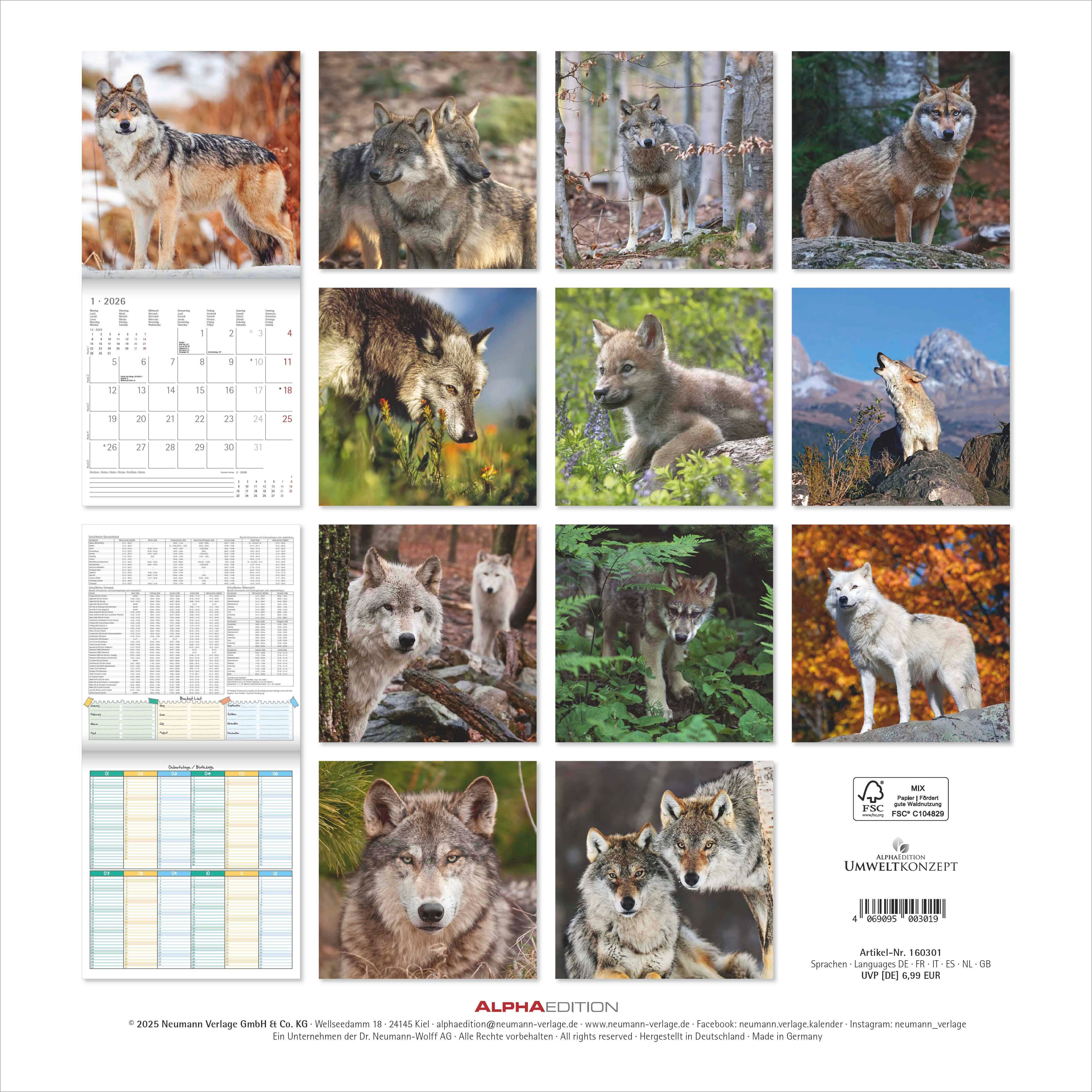 Kalender 2026 30x30 Wolves