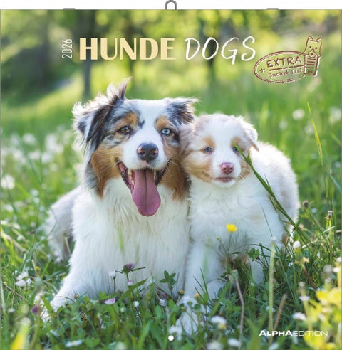 Kalender 2026 30x30 Dogs