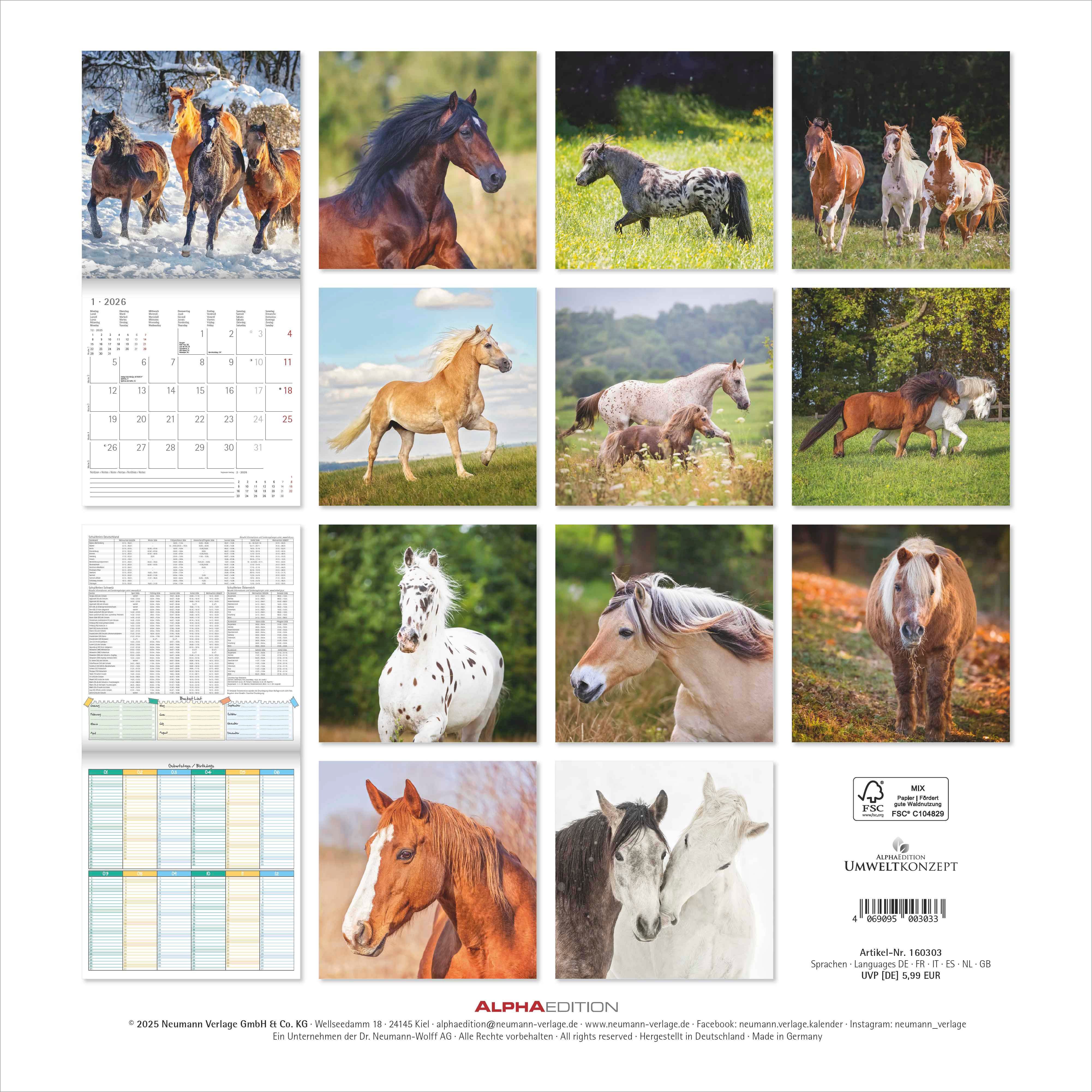 Kalender 2026 30x30 Horses