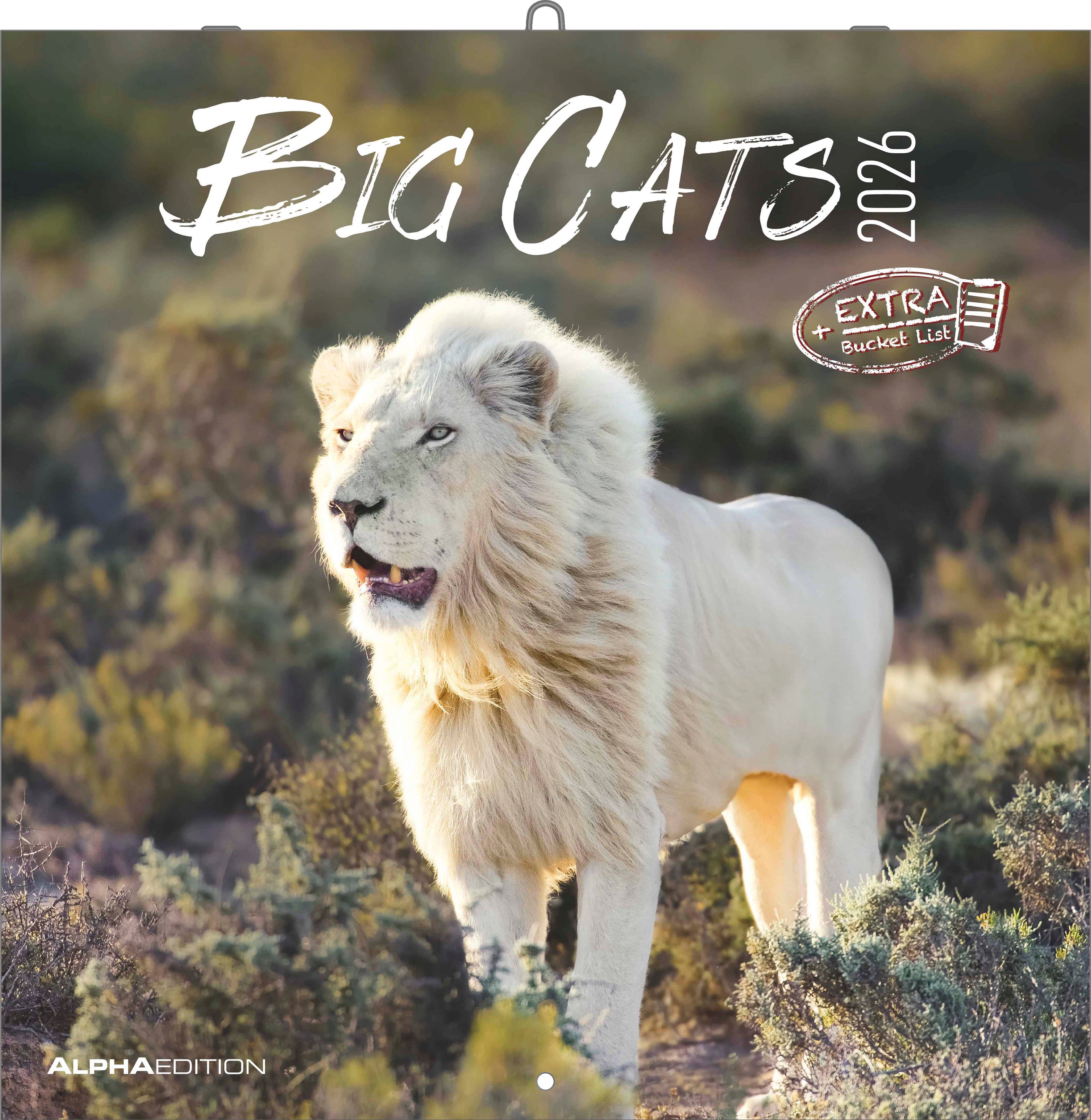 Kalender 2026 30x30 Big Cats
