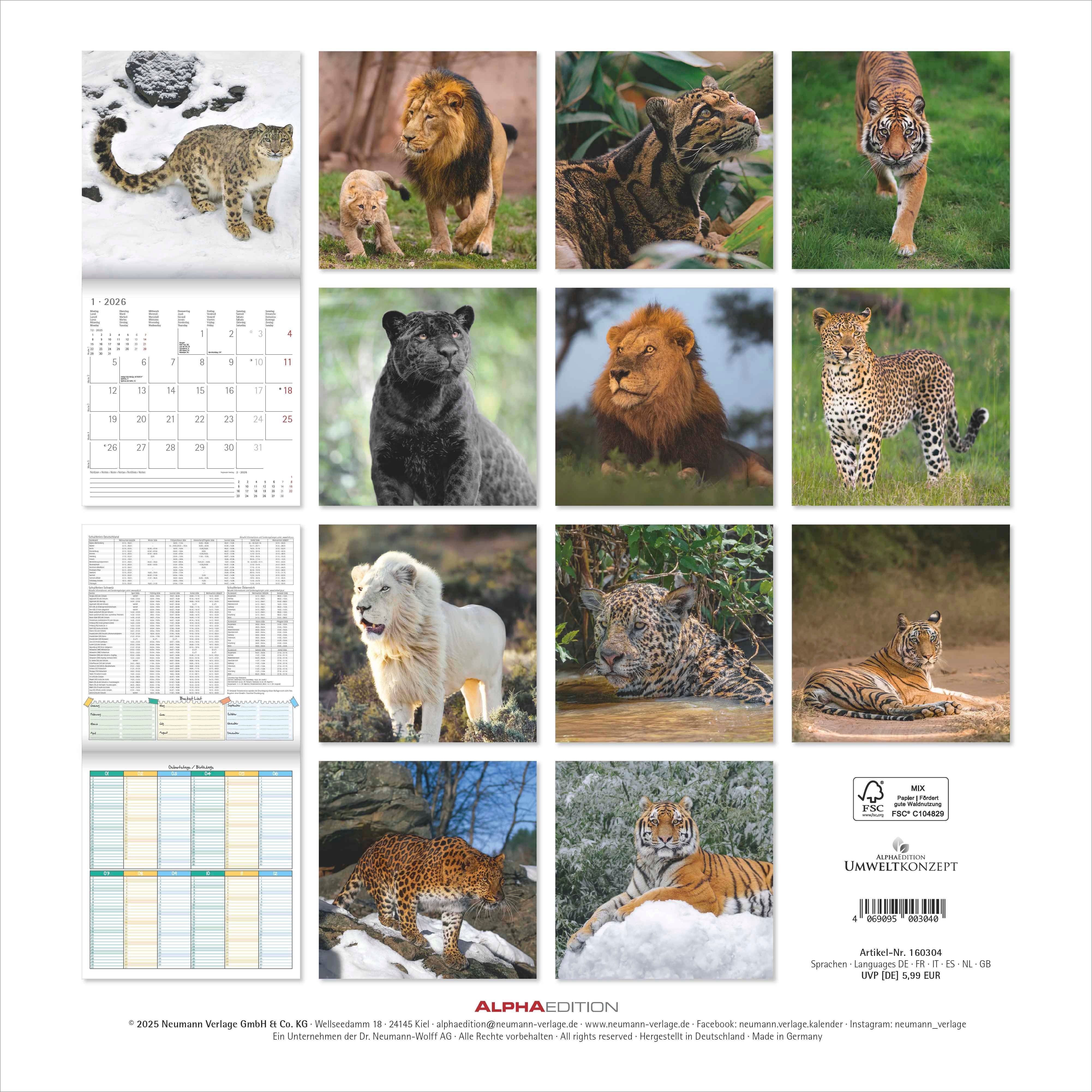 Kalender 2026 30x30 Big Cats