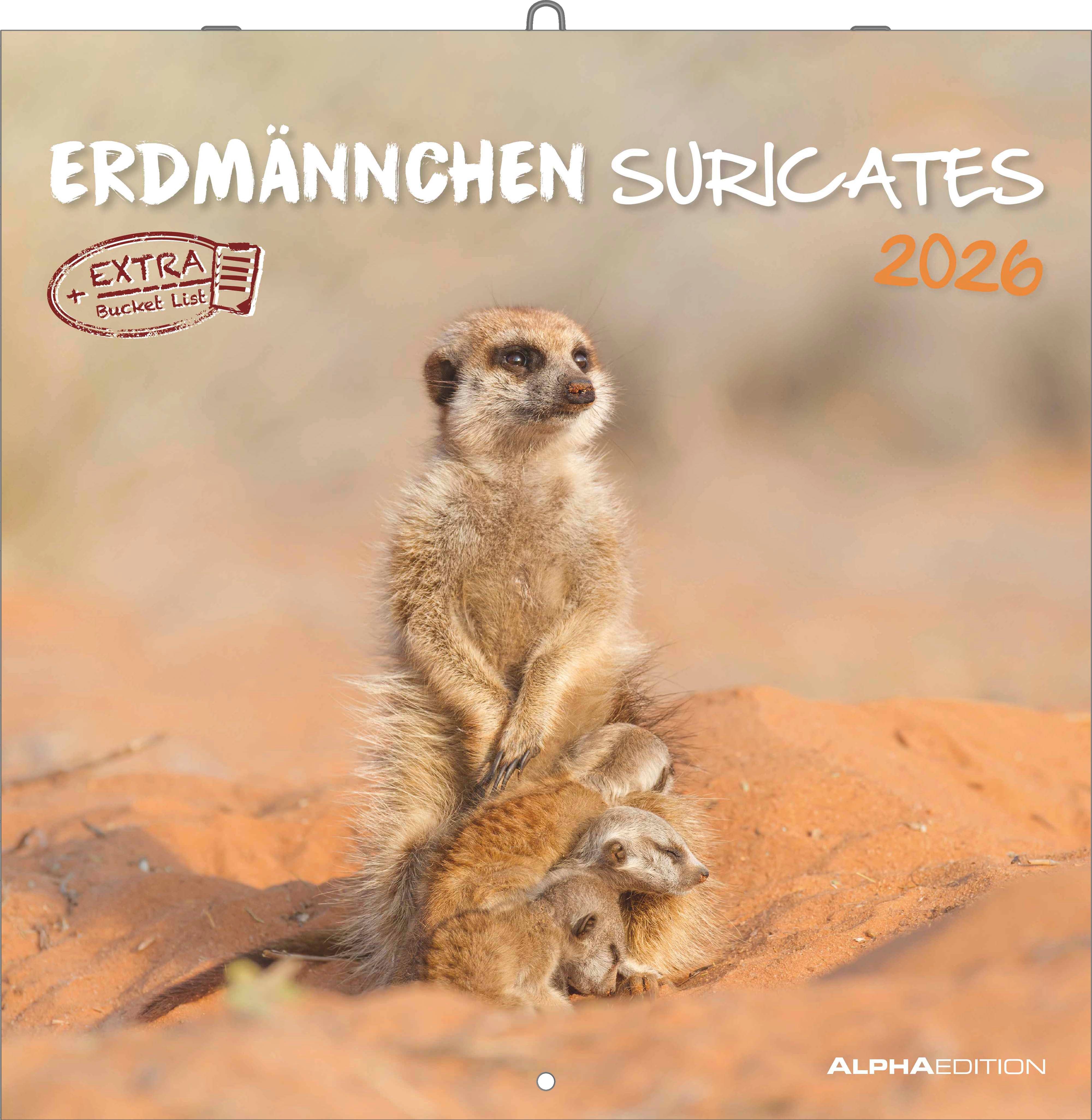 Kalender 2026 30x30 Suricates