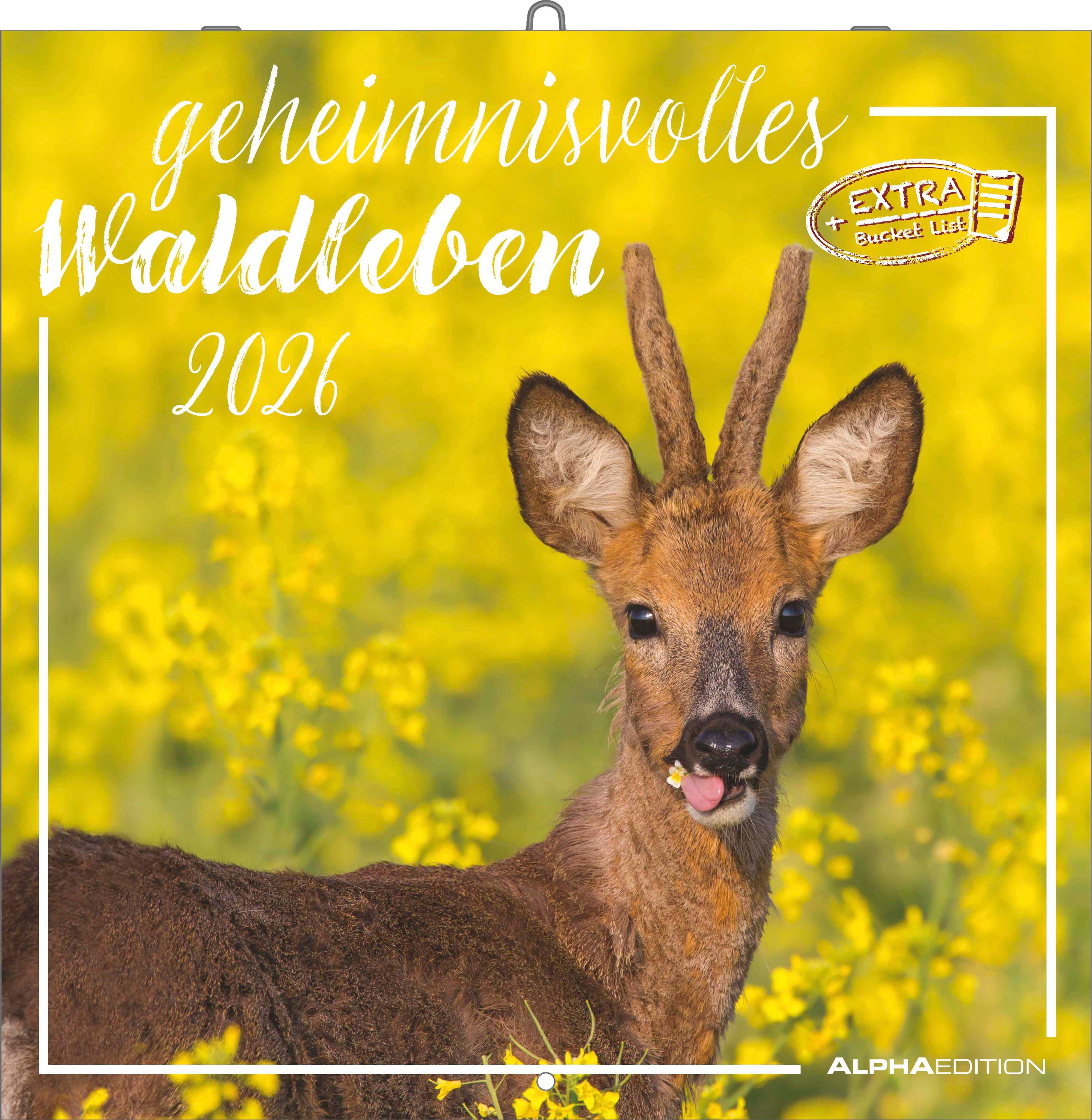 Kalender 2026 30x30 Forest Animals