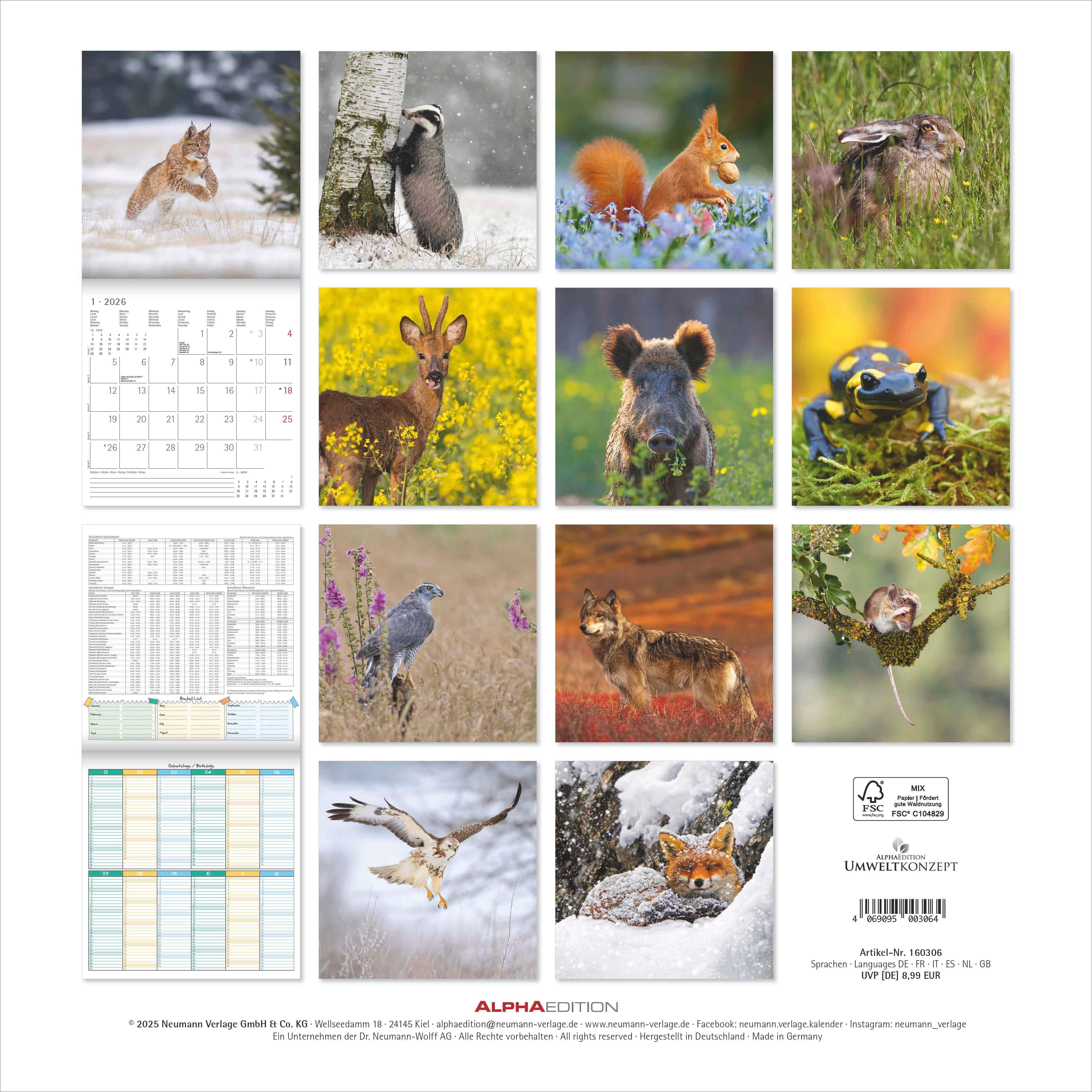 Kalender 2026 30x30 Forest Animals