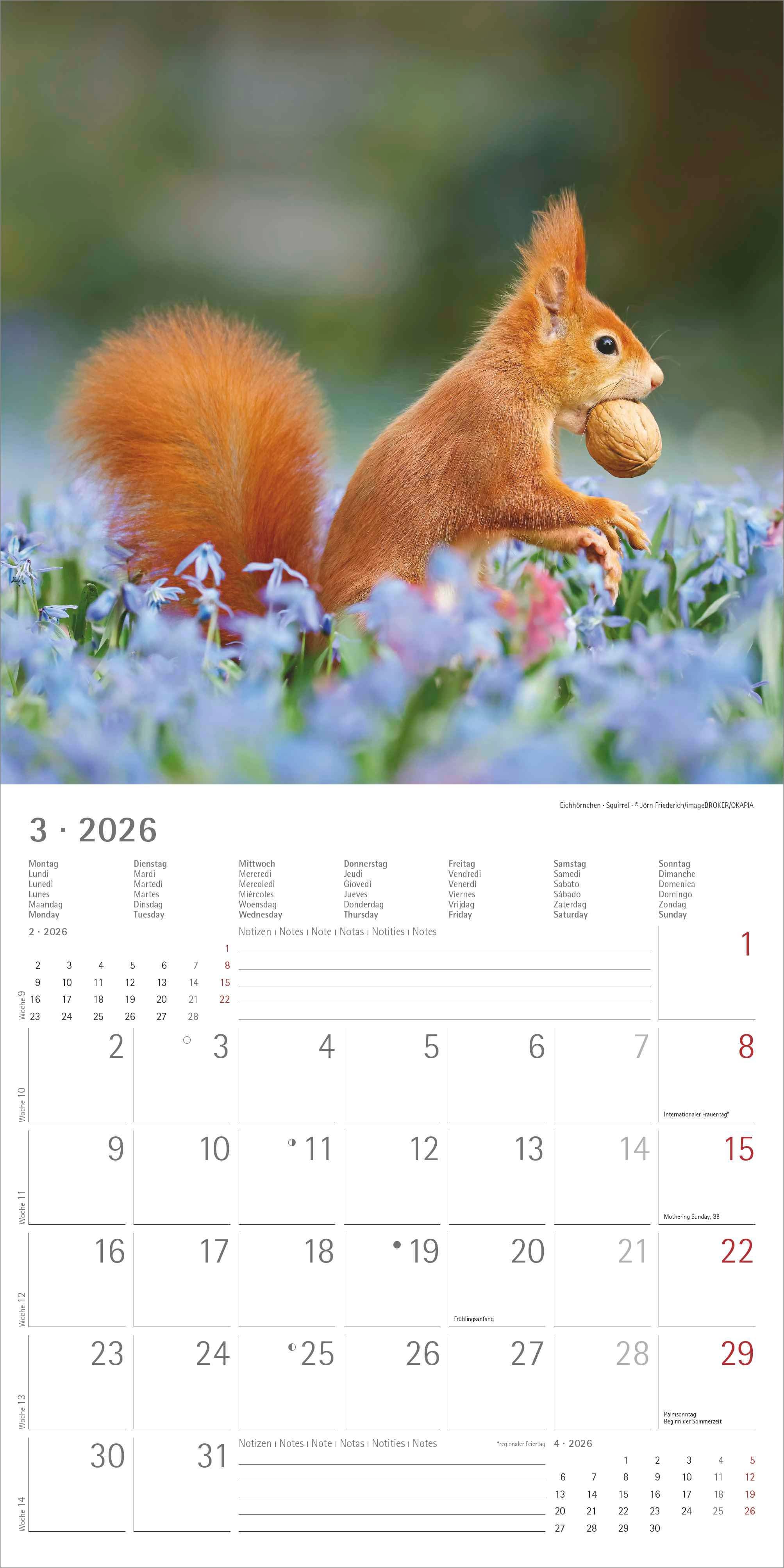 Kalender 2026 30x30 Forest Animals