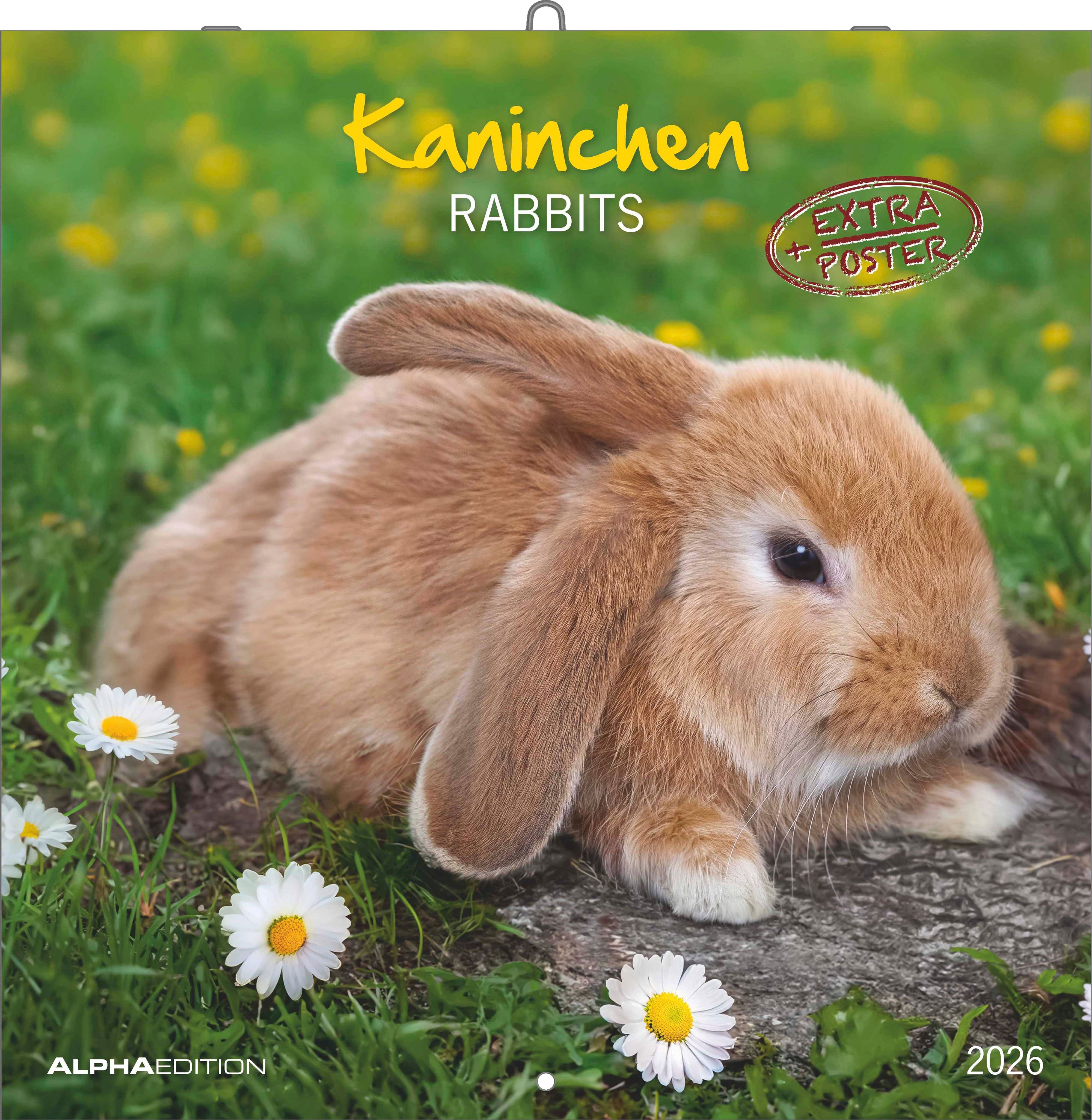 Kalender 2026 30x30 Rabbits
