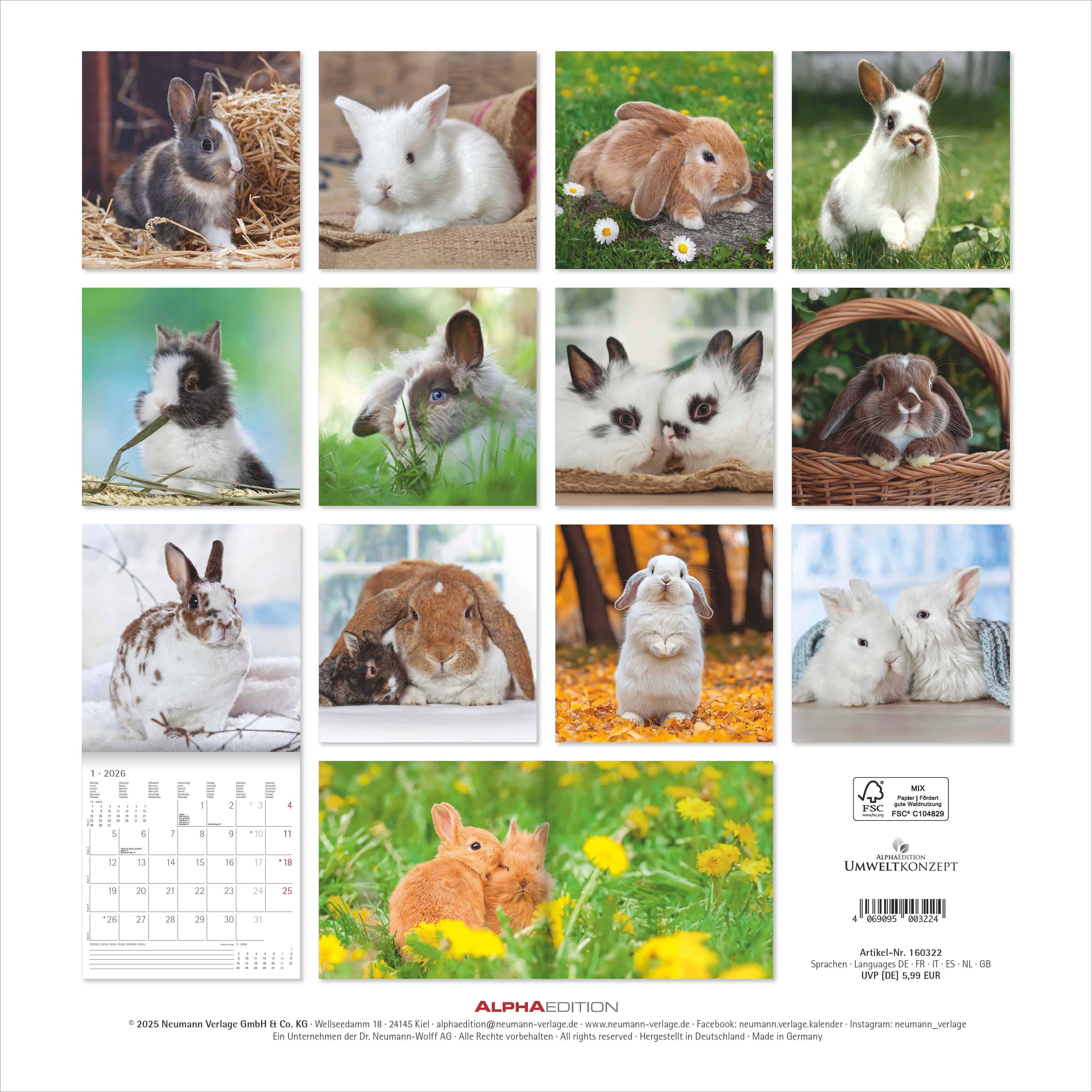 Kalender 2026 30x30 Rabbits