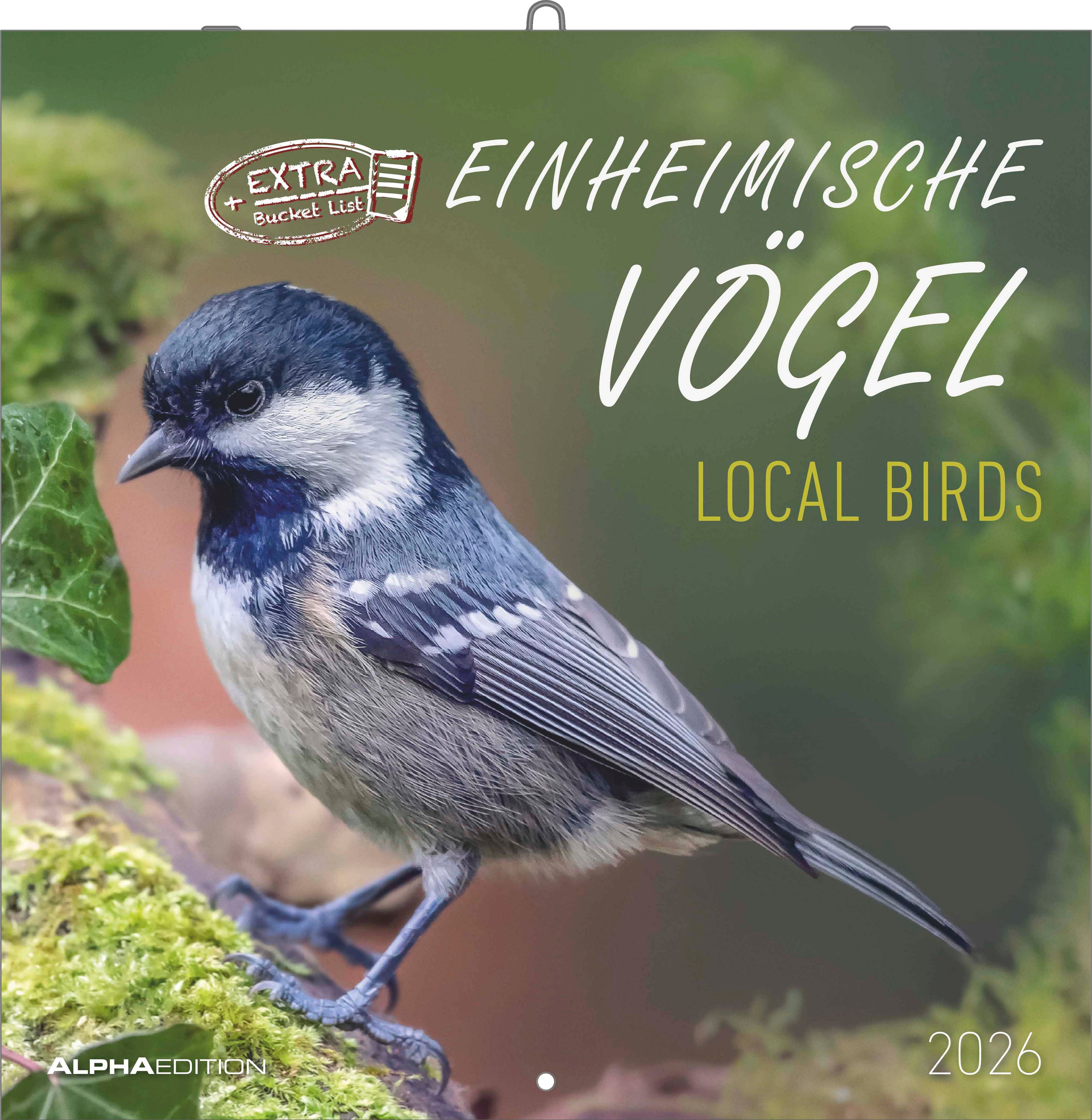 Kalender 2026 30x30 Local Birds
