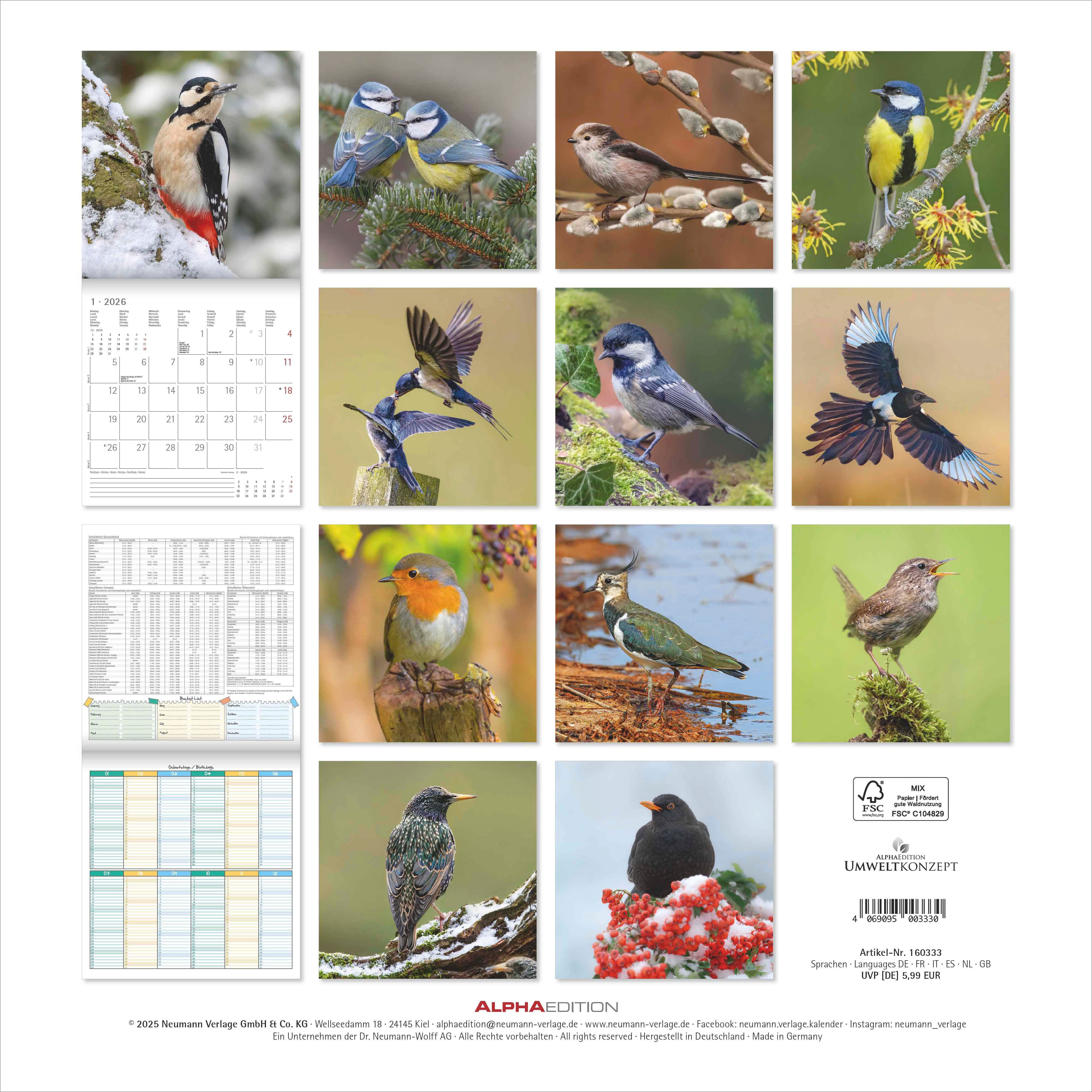 Kalender 2026 30x30 Local Birds