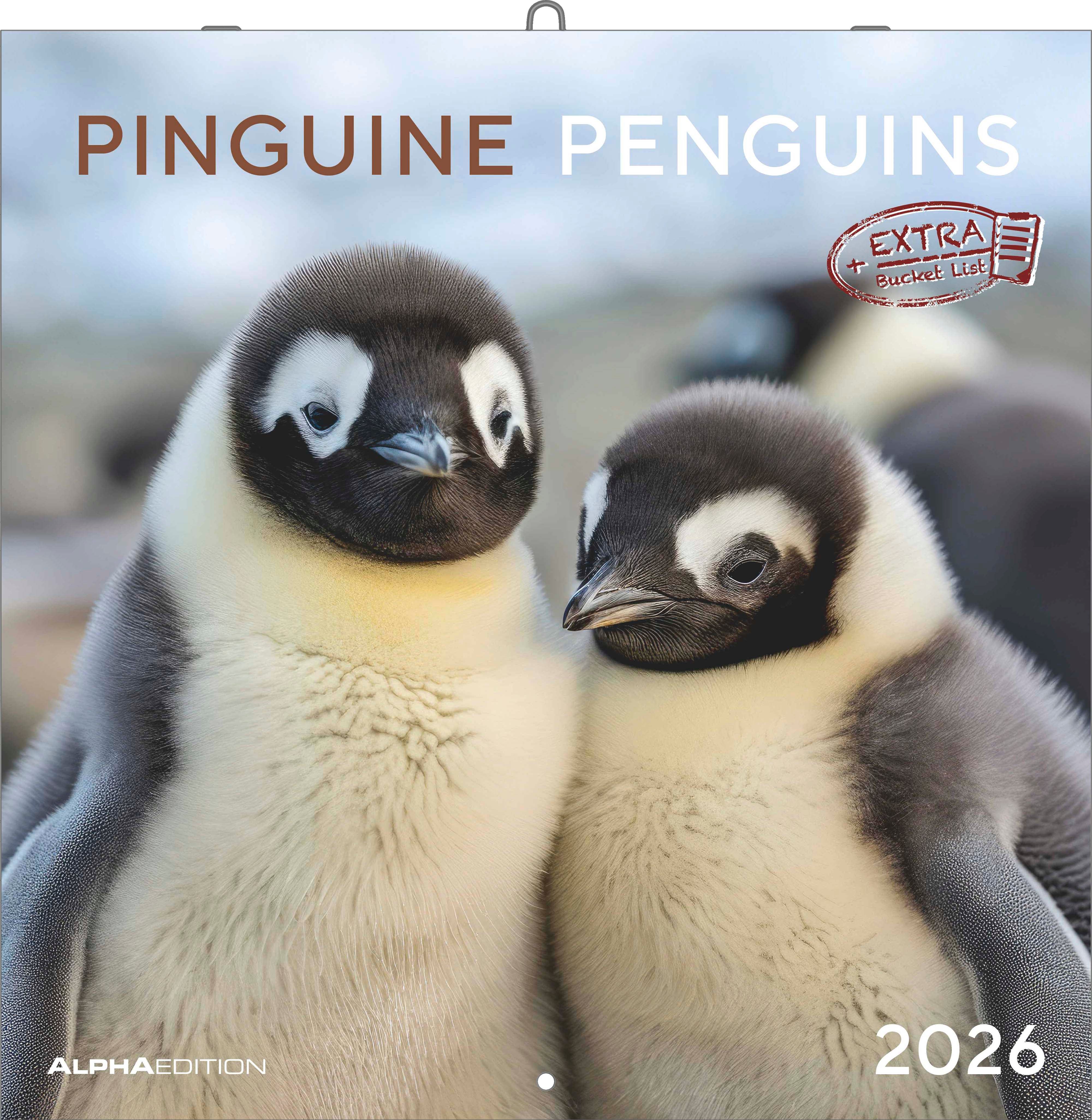 Kalender 2026 30x30 Penguins