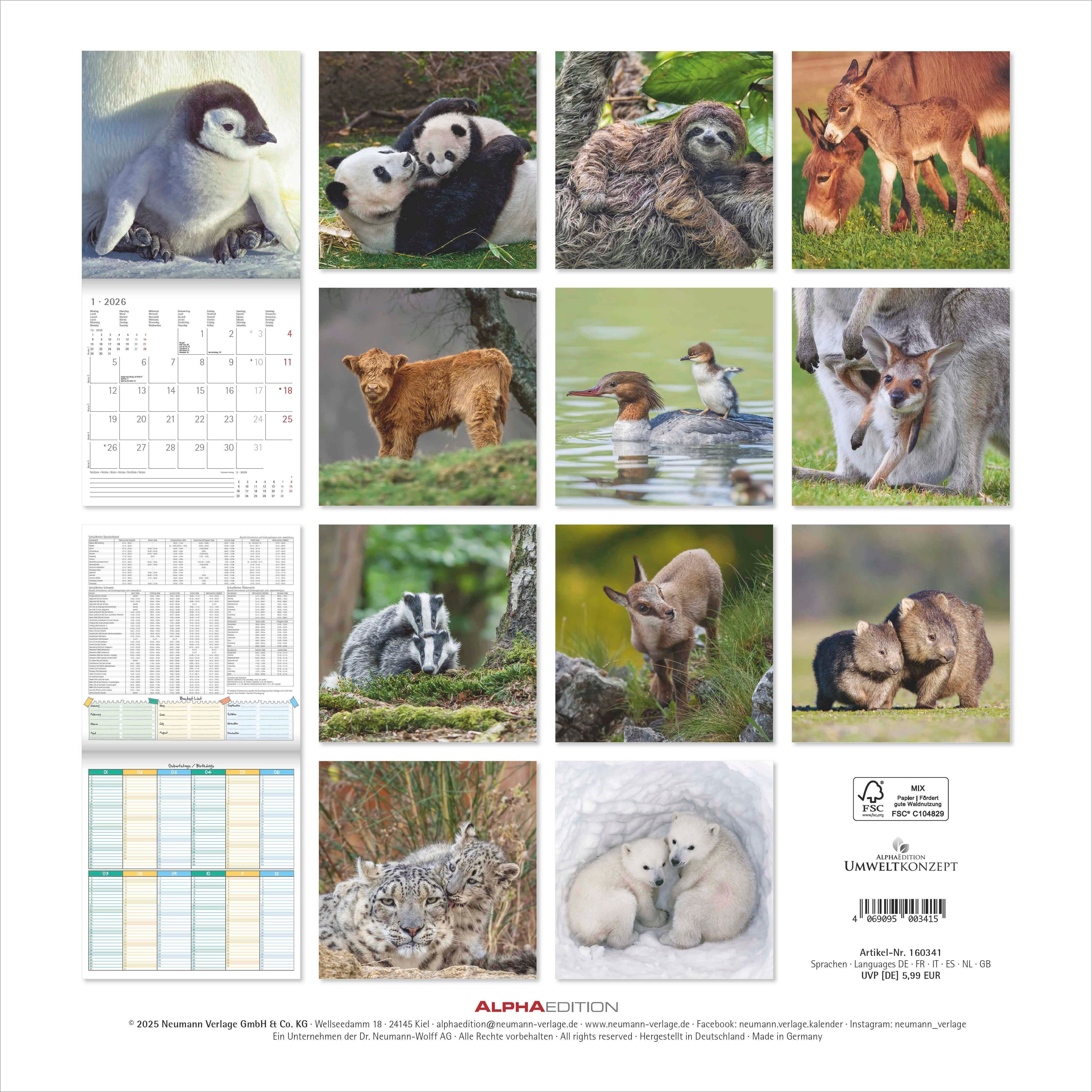Kalender 2026 30x30 Baby Animals