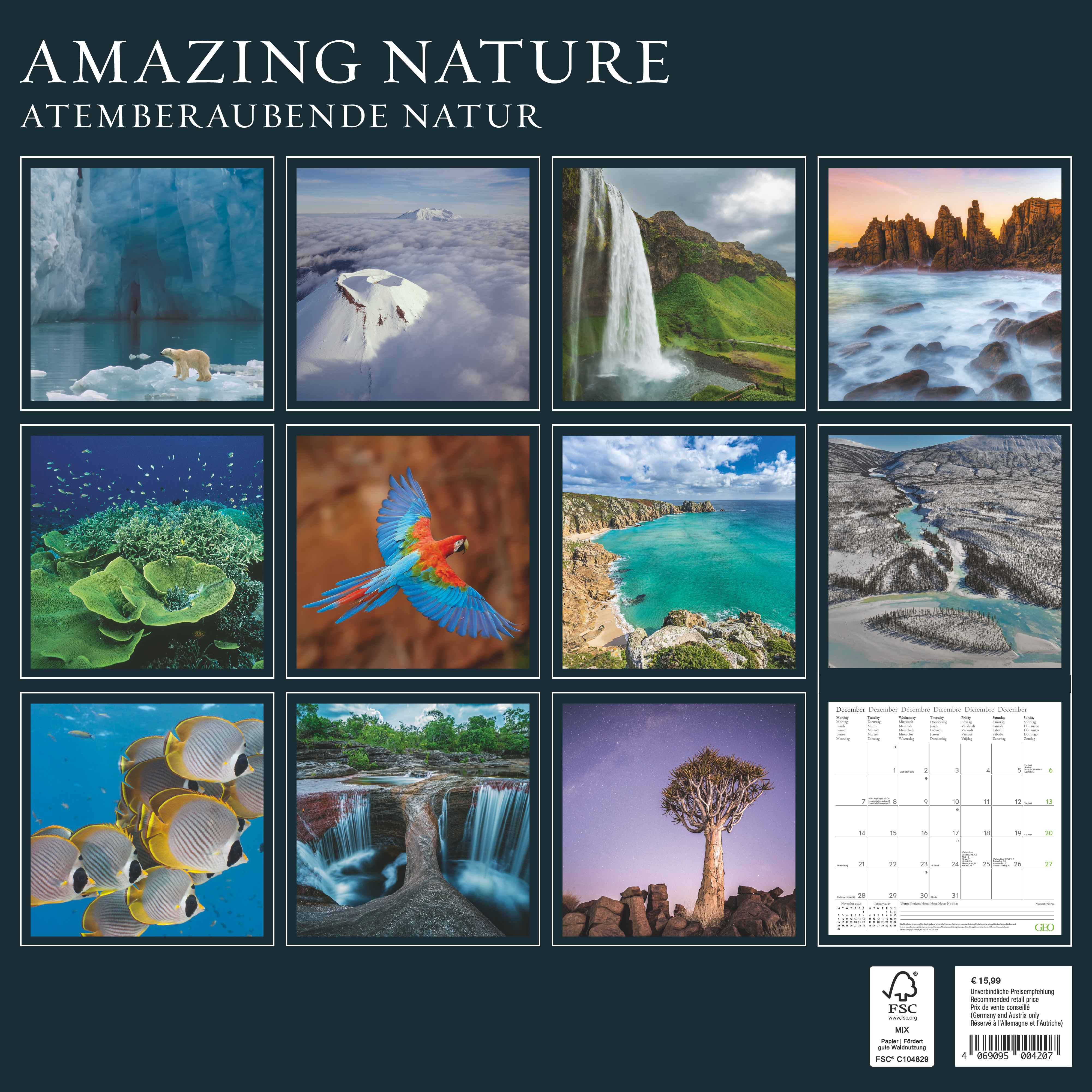 Kalender 2026 30x30 GEO Amazing Nature