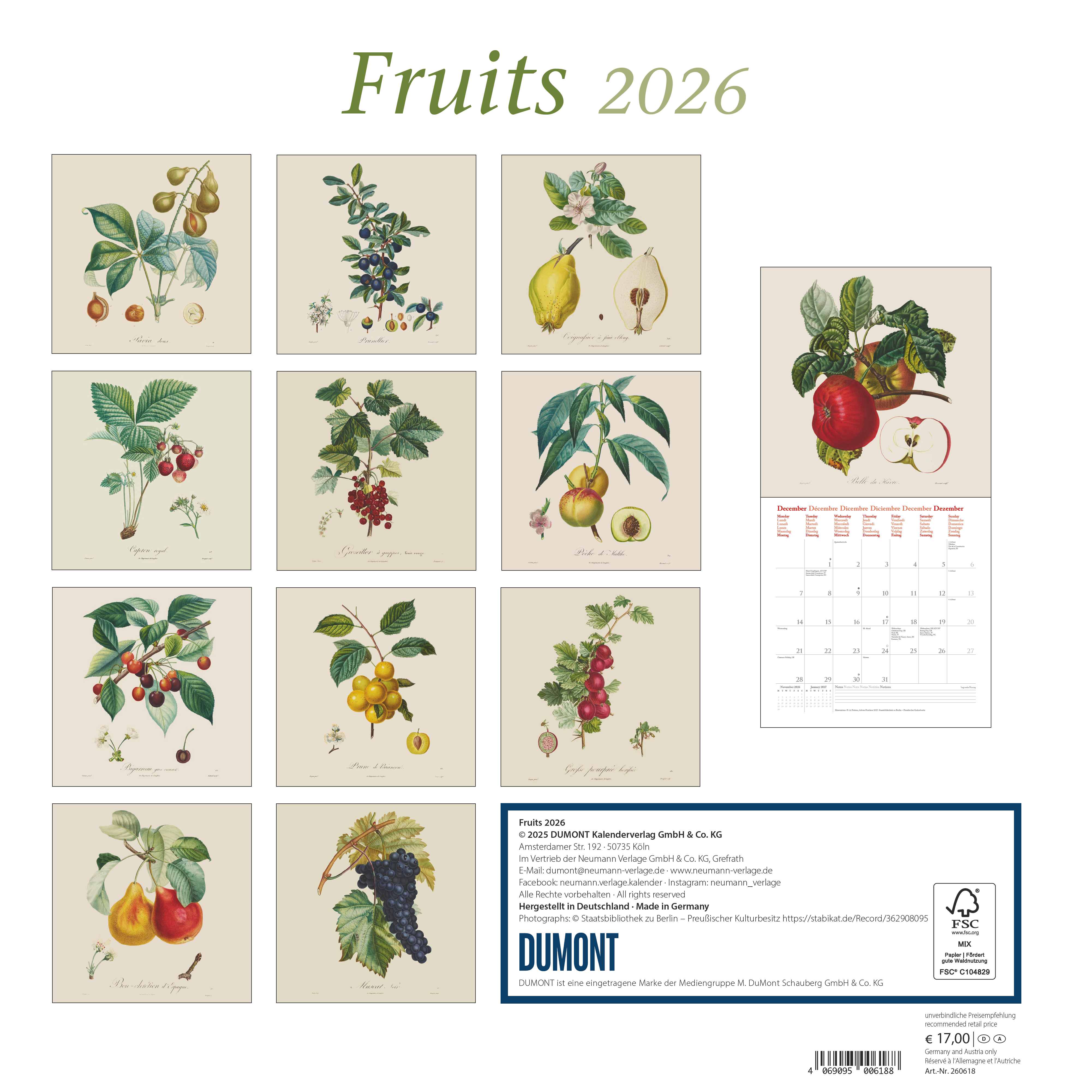 Kalender 2026 30x30 Fruits