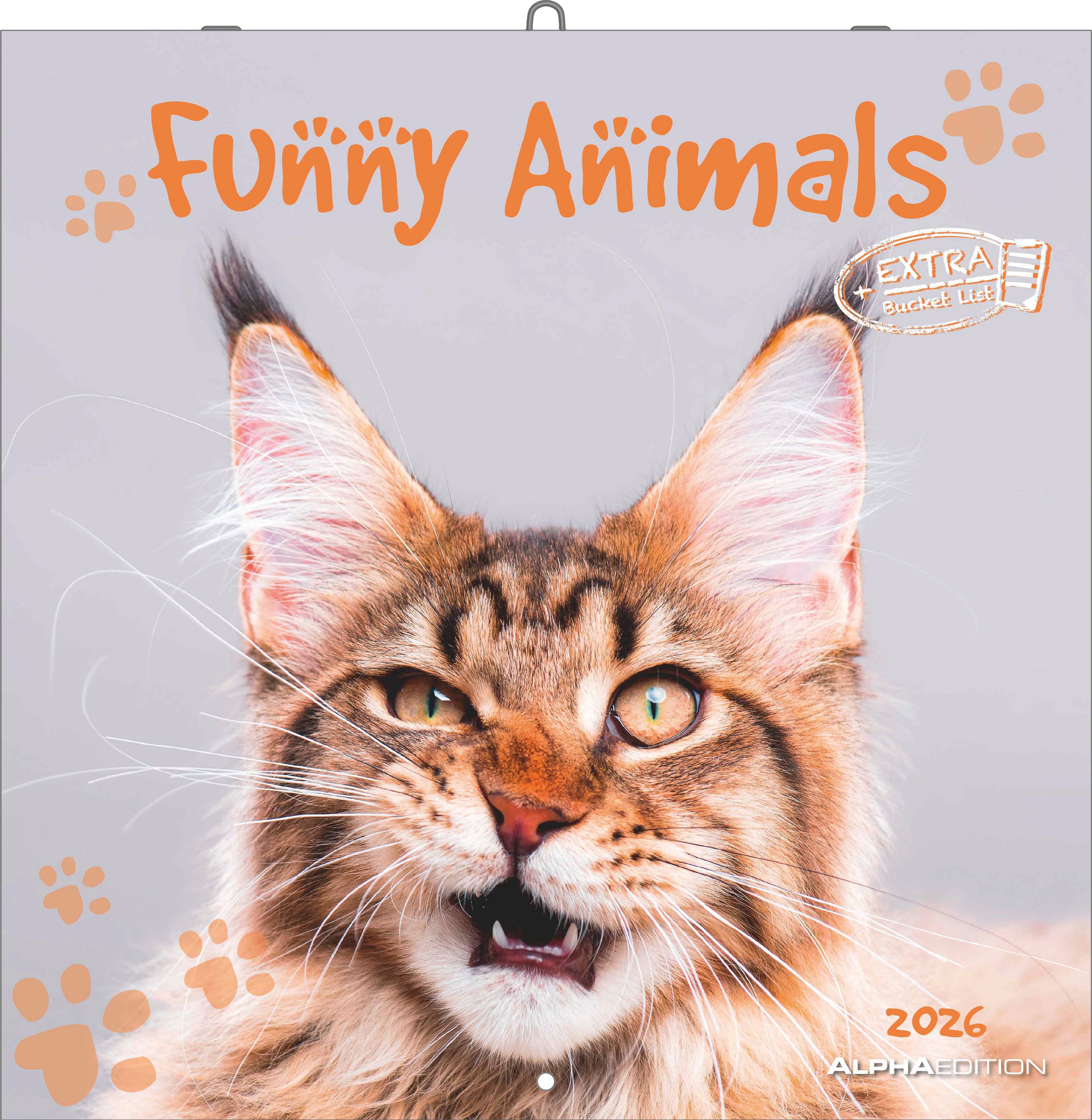 Kalender 2026 30x30 Funny Animals