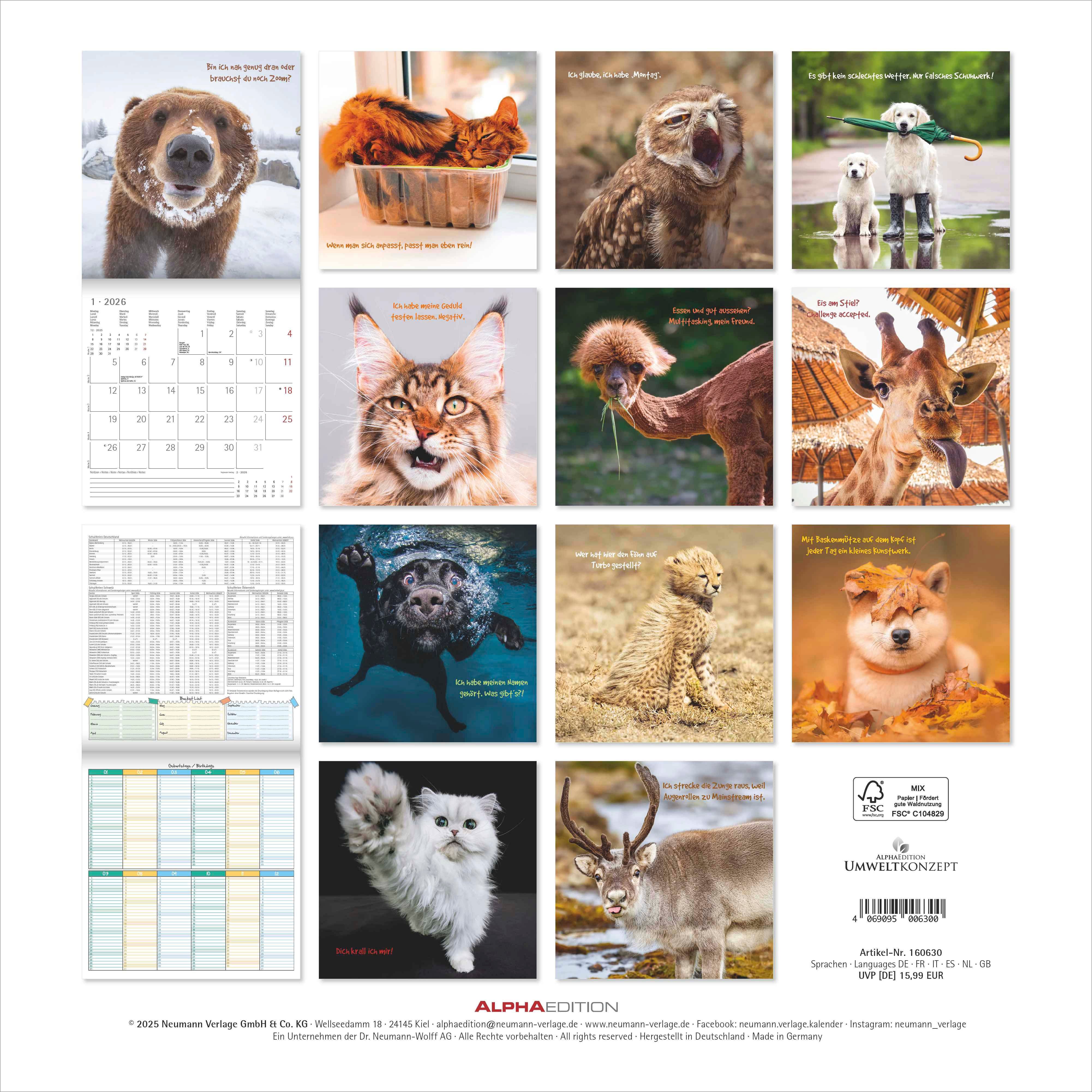 Kalender 2026 30x30 Funny Animals
