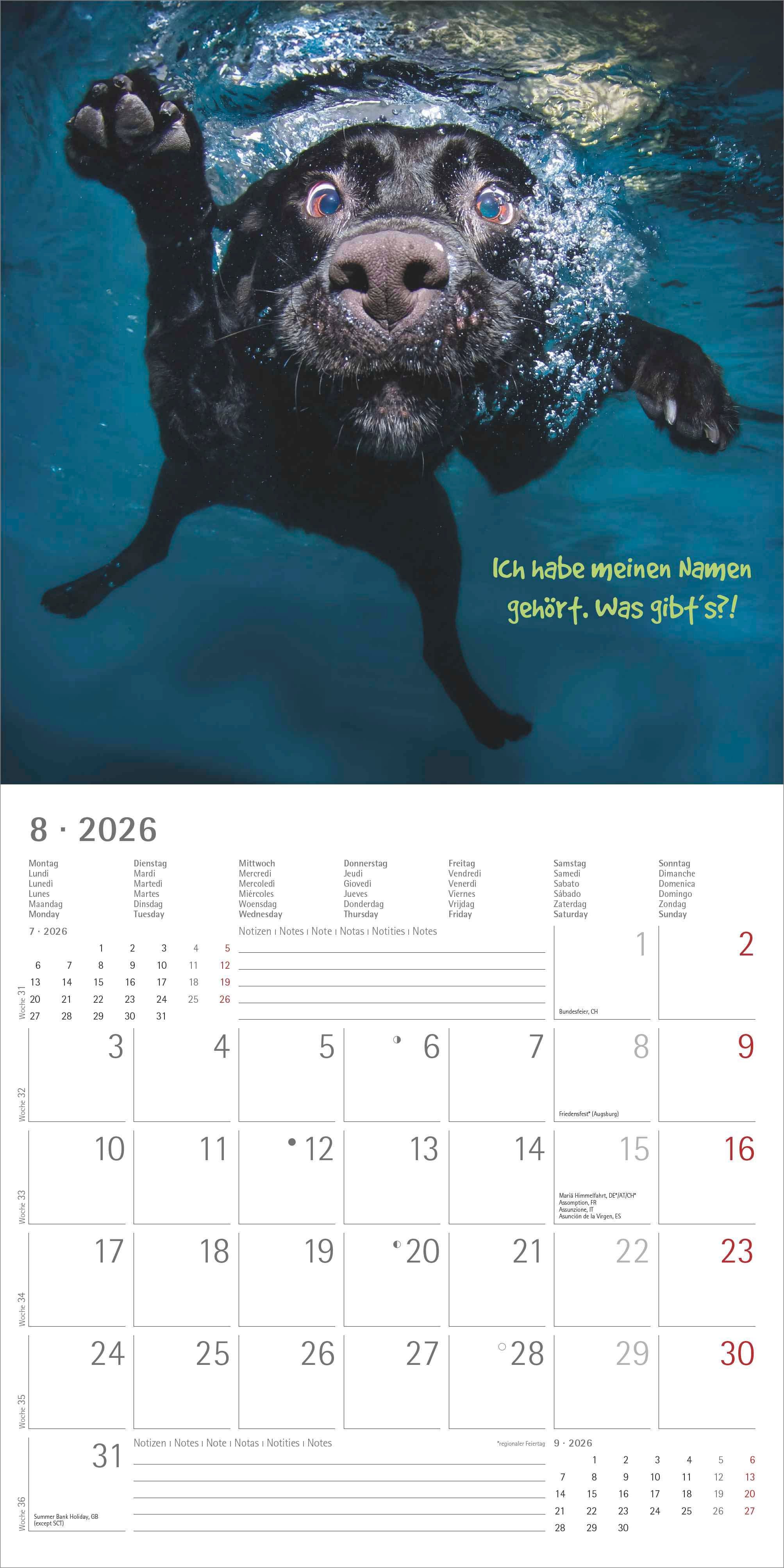 Kalender 2026 30x30 Funny Animals
